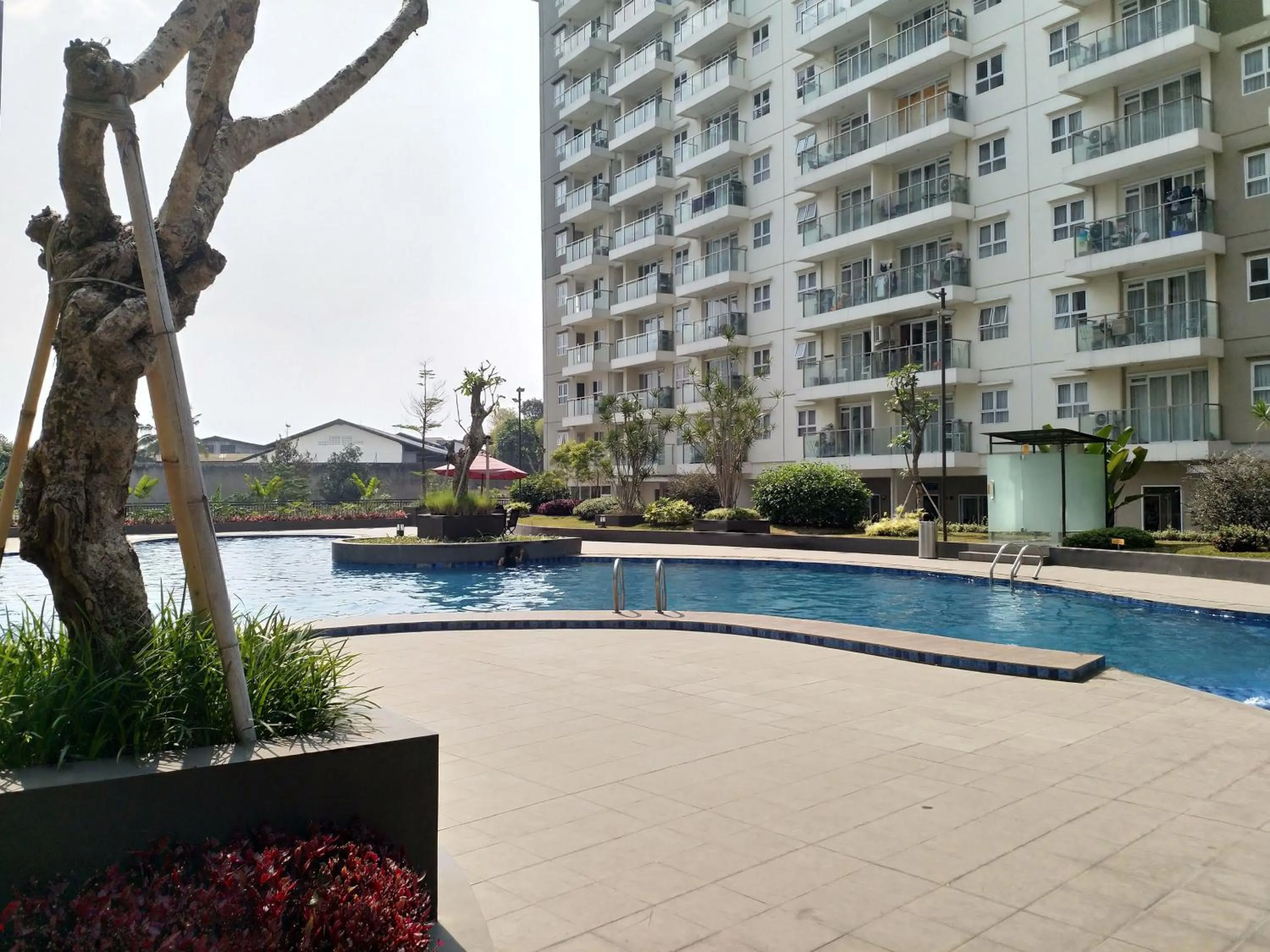 Swimming pool in High Livin Apartment Pasteur