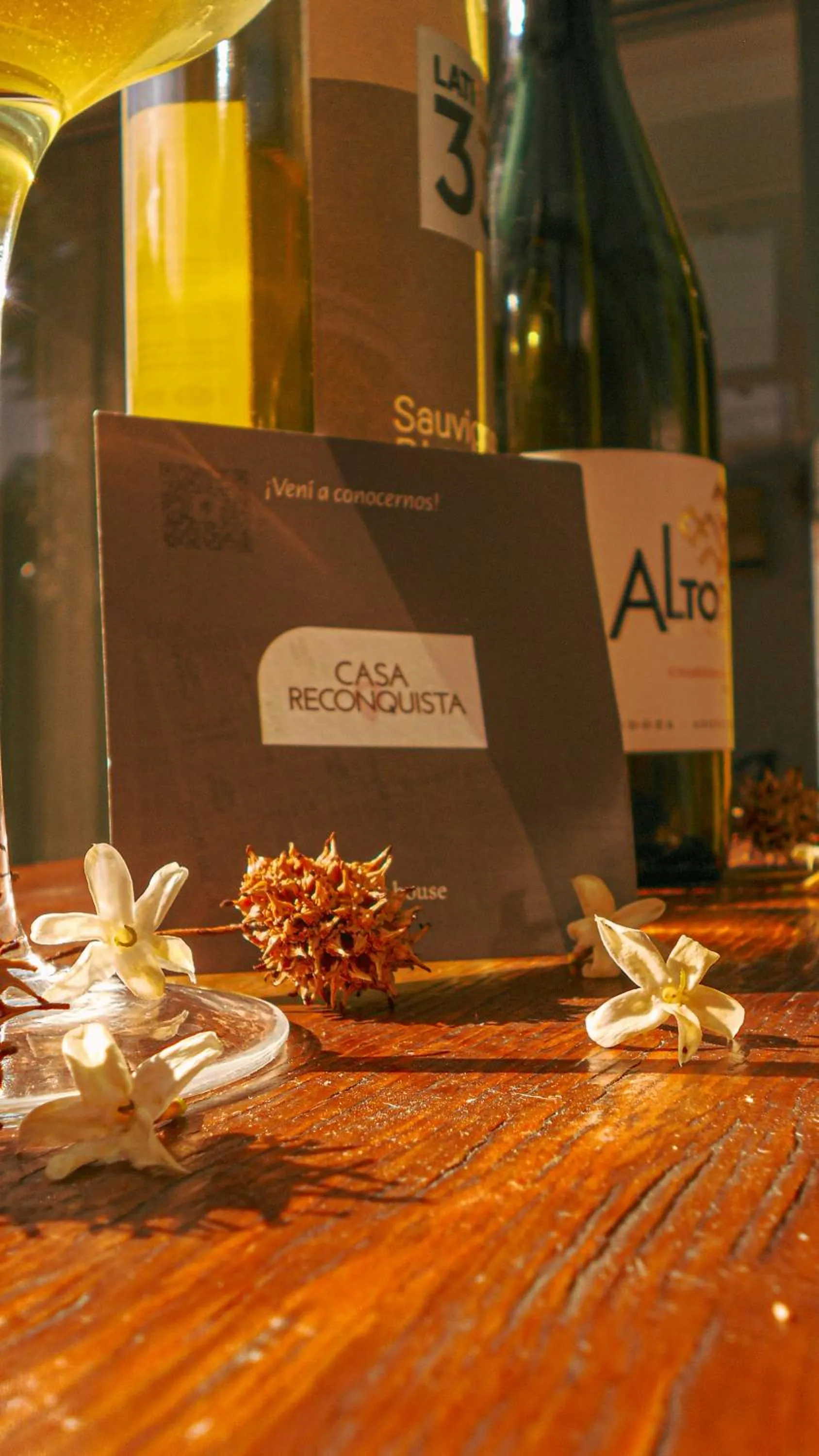 Garden view in Casa Reconquista