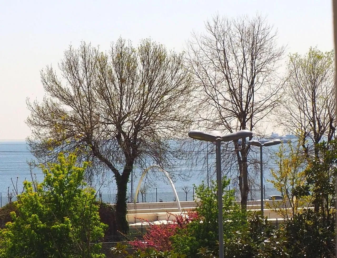 View (from property/room) in Recital Park Hotel