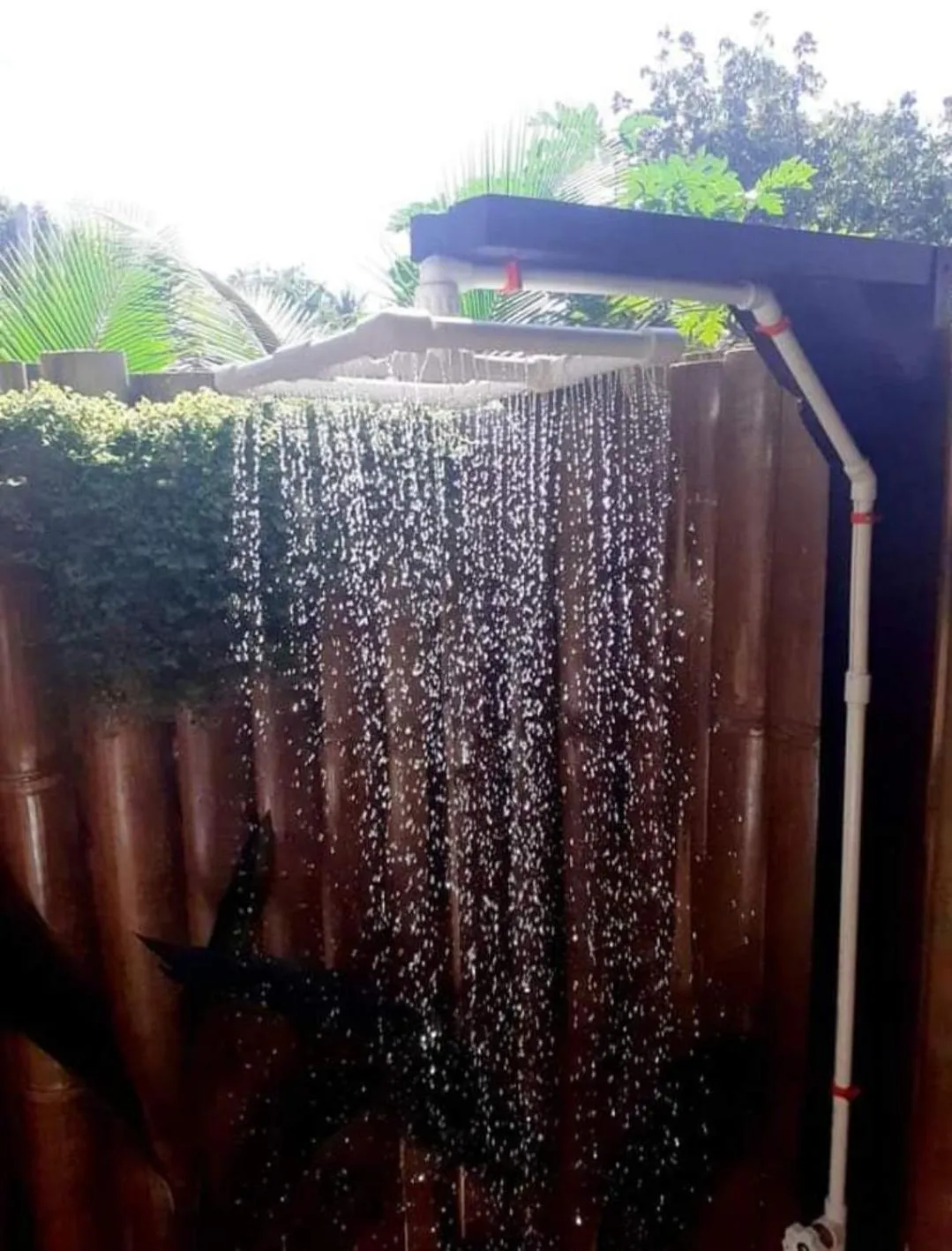 Payag n' Kapitan, Experience pinubre living