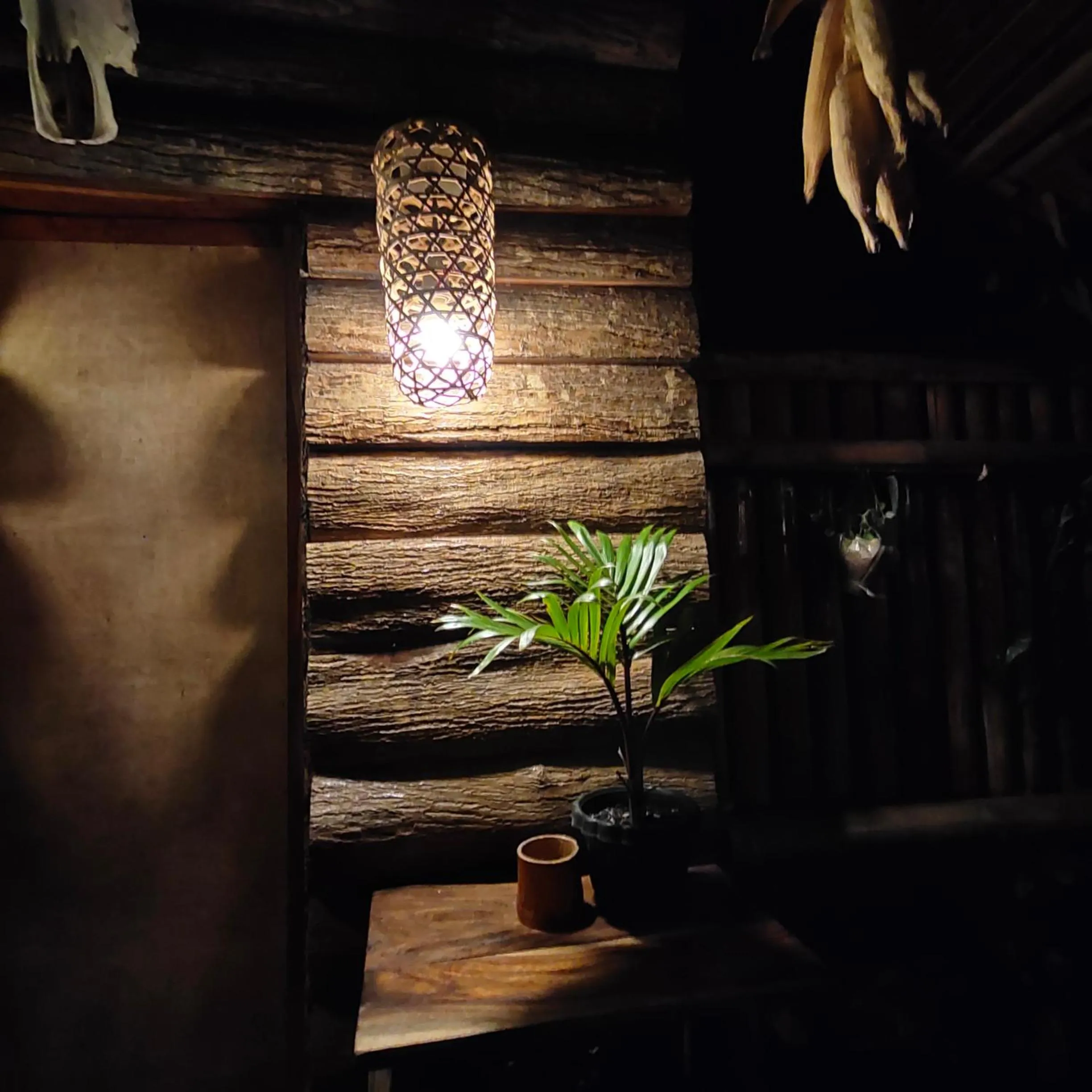 Payag n' Kapitan, Experience pinubre living