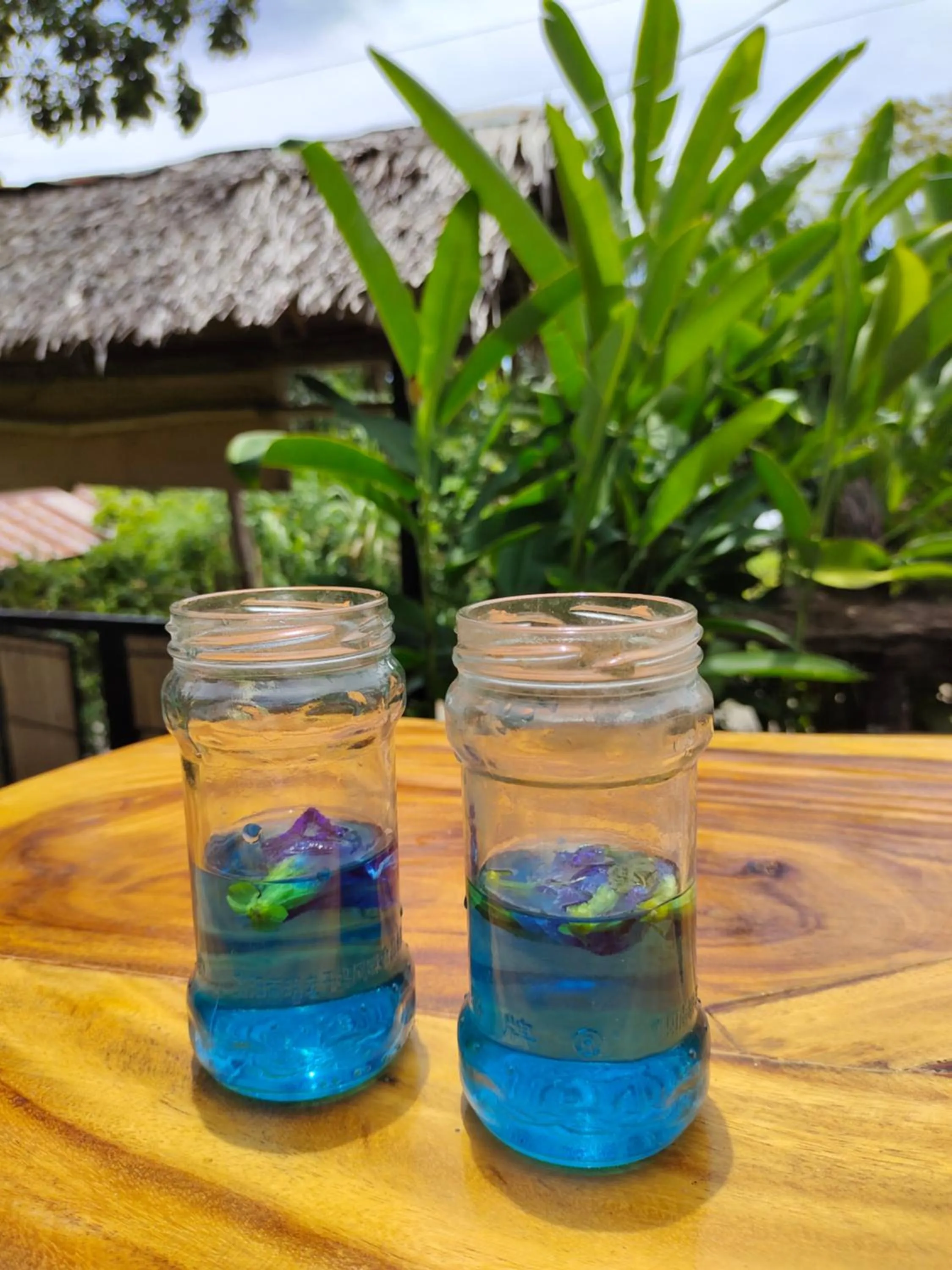 Payag n' Kapitan, Experience pinubre living