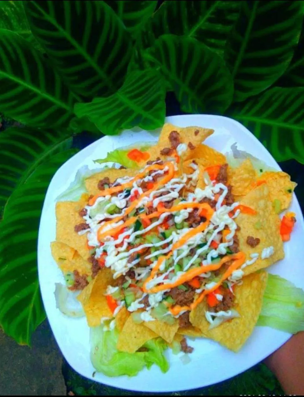 Payag n' Kapitan, Experience pinubre living