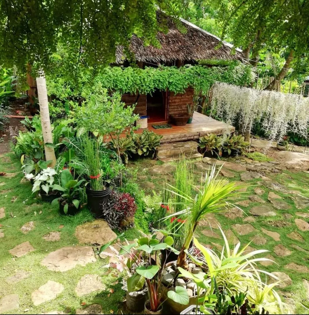 Payag n' Kapitan, Experience pinubre living