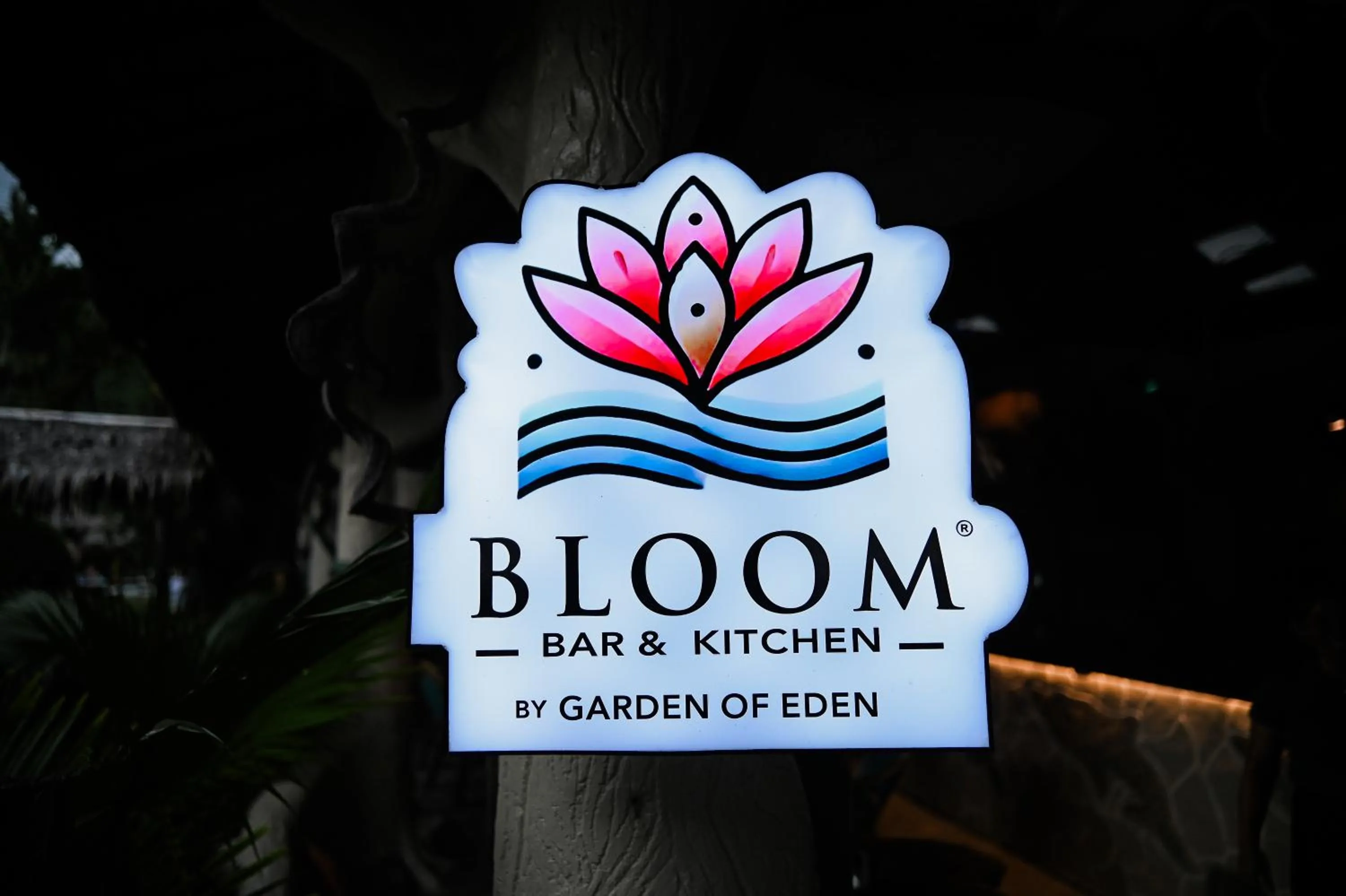 Street view in Garden of Eden Dive Resort