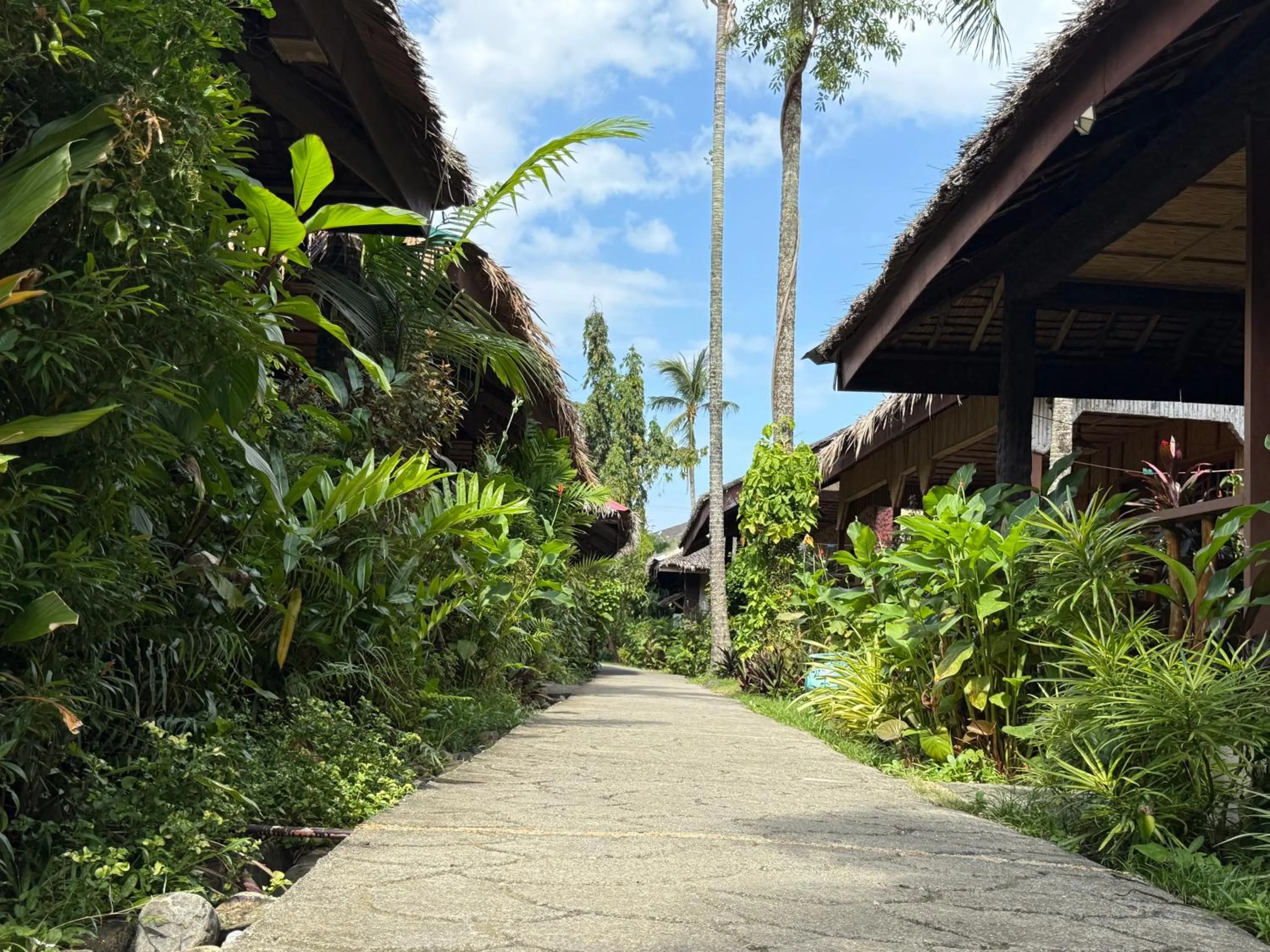 Natural landscape in Garden of Eden Dive Resort