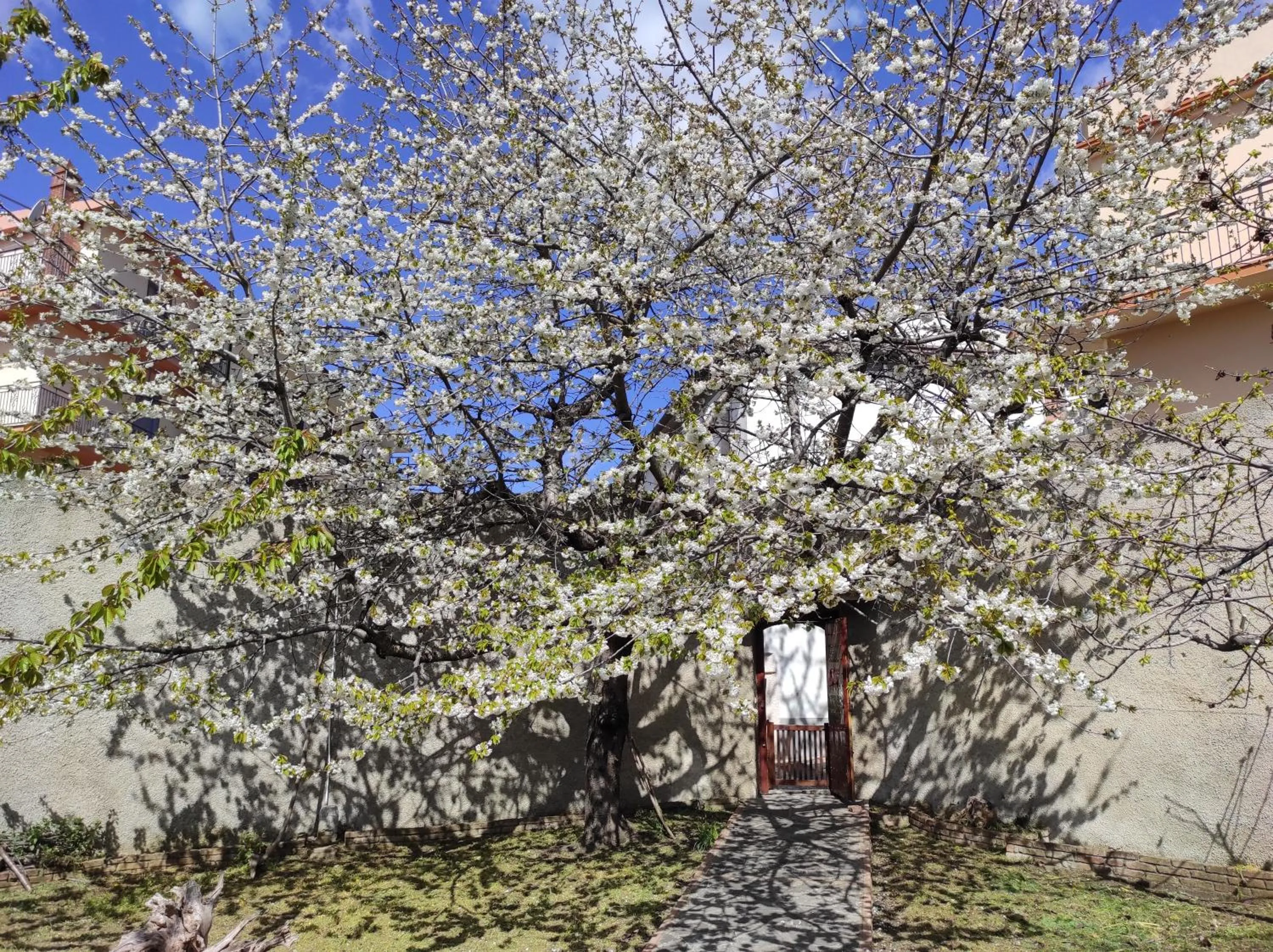Garden in Antica Dimora Palazzo Rovitti