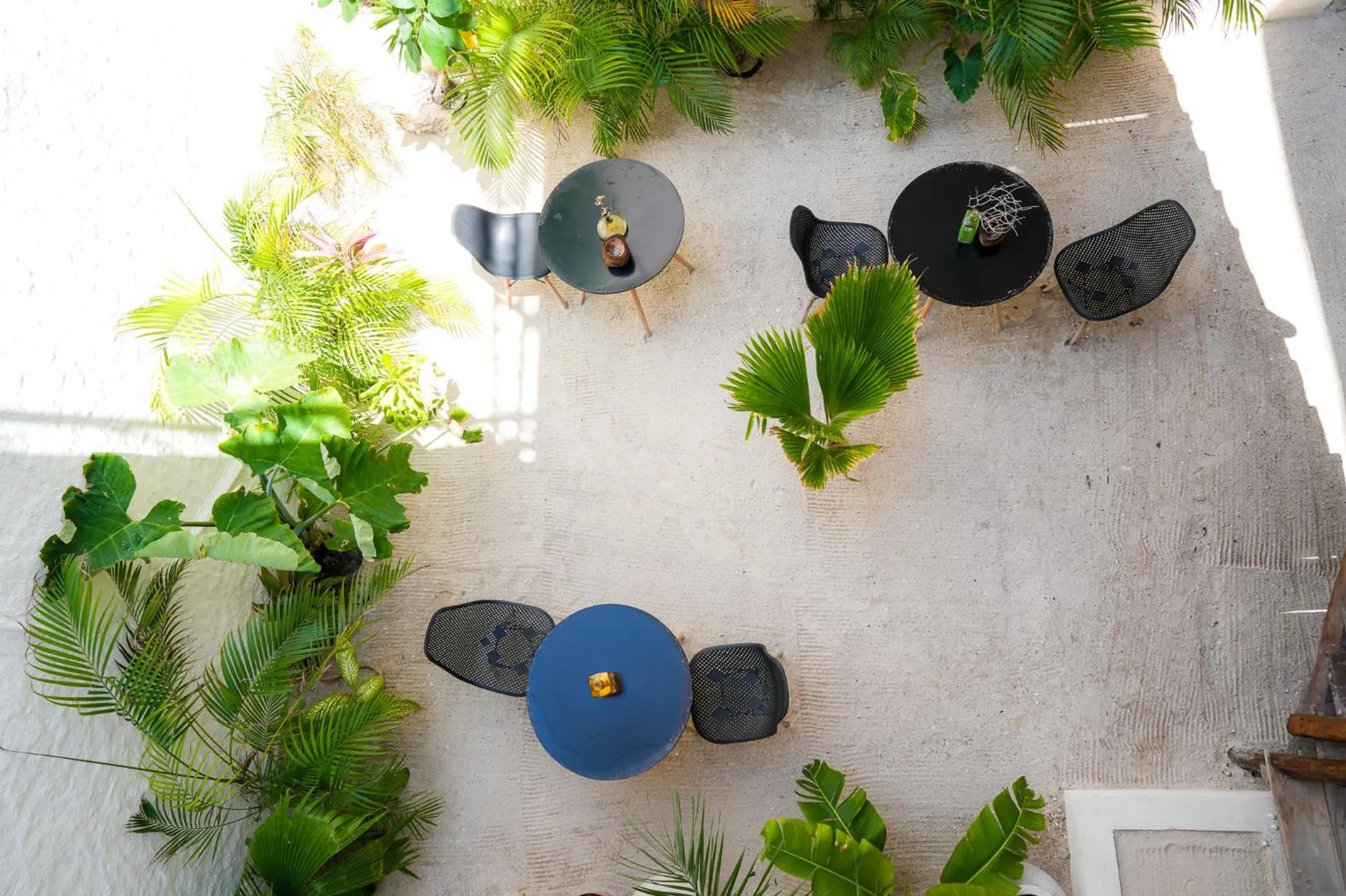 Garden in Tikul Hotel Boutique