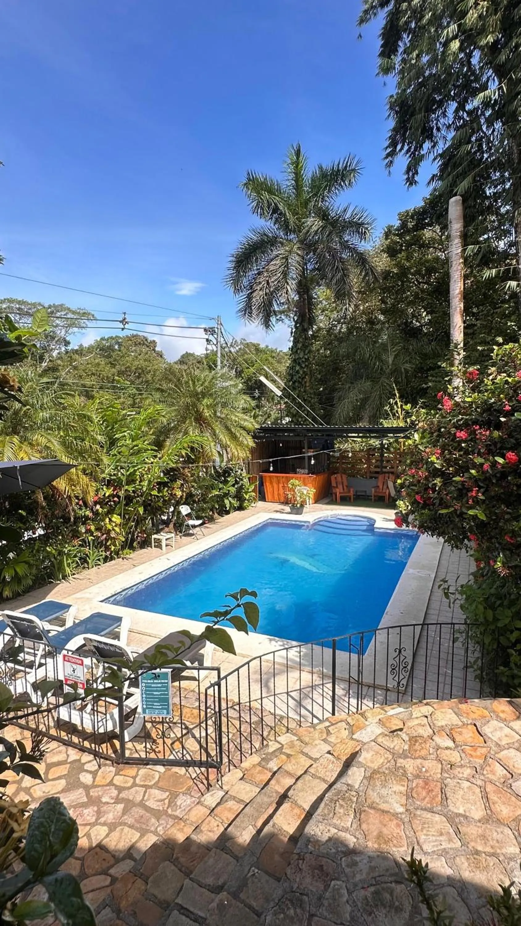 Garden in Hospedaje Colibri