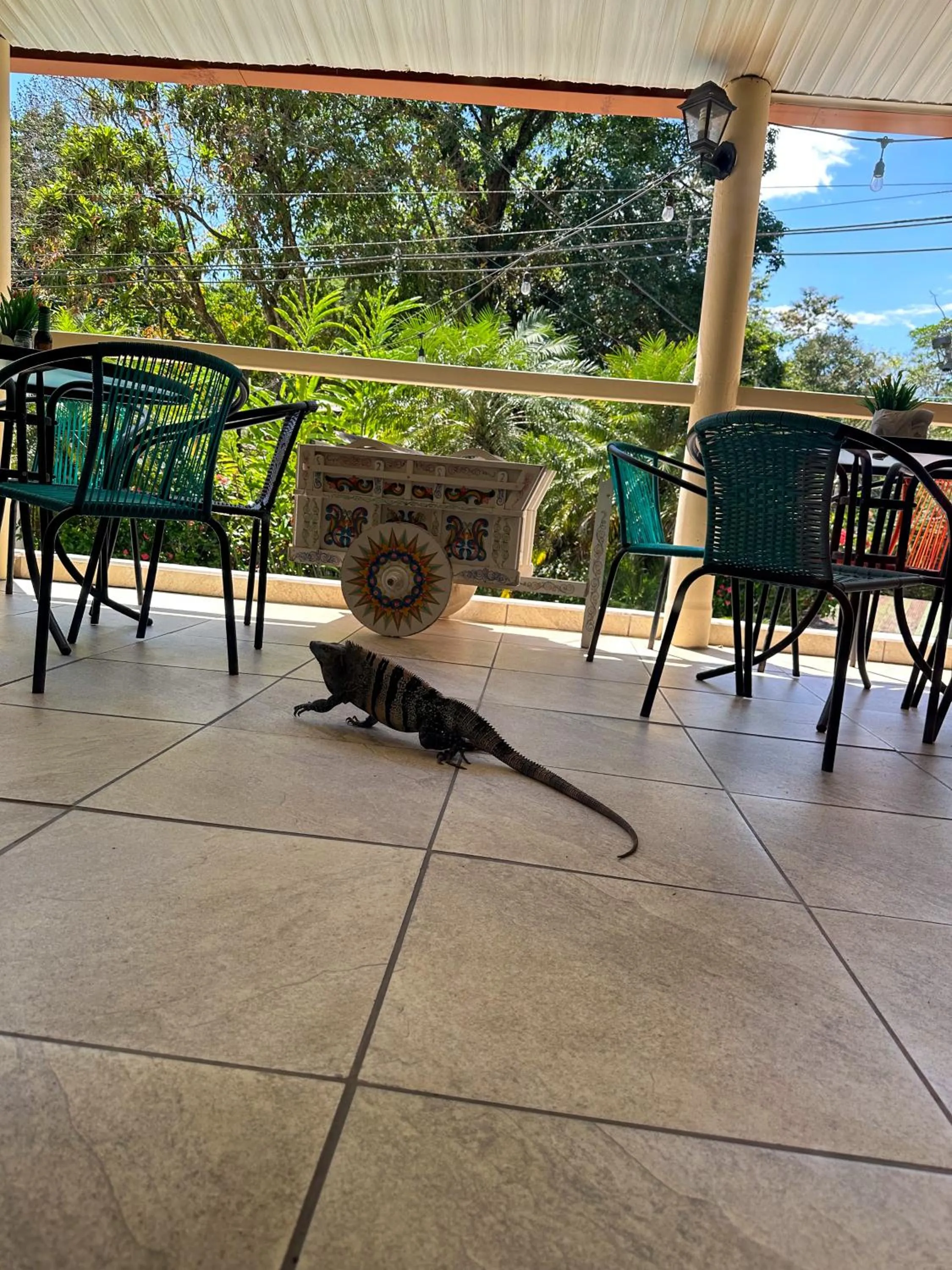 Balcony/Terrace in Hospedaje Colibri