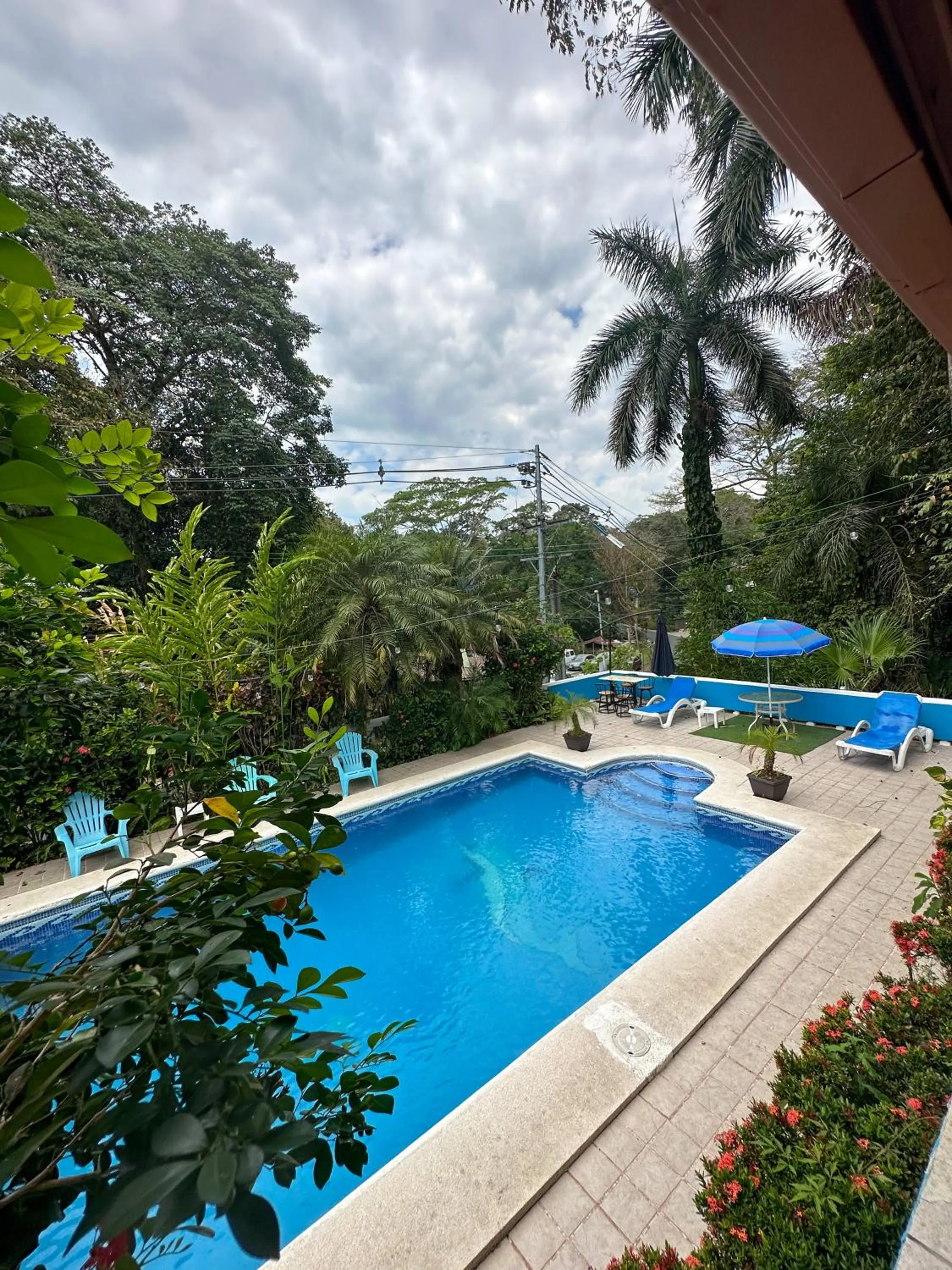 Swimming pool in Hospedaje Colibri