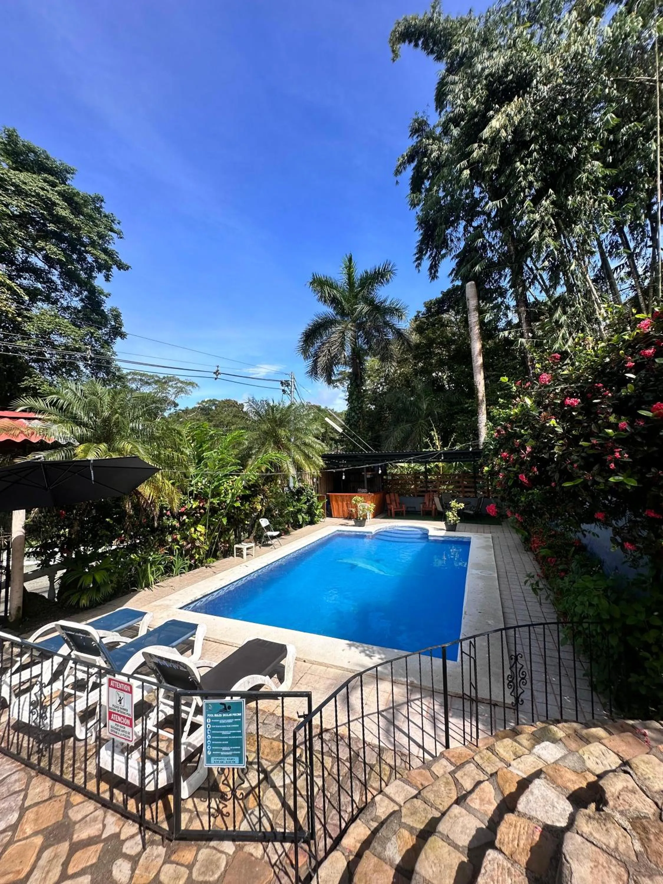 Garden in Hospedaje Colibri