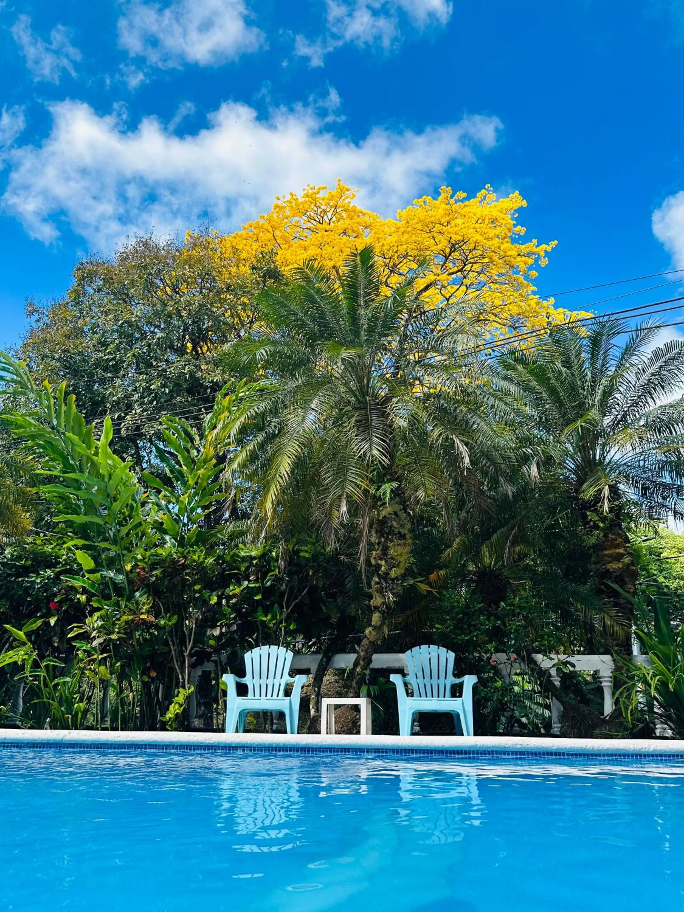 Swimming pool in Hospedaje Colibri