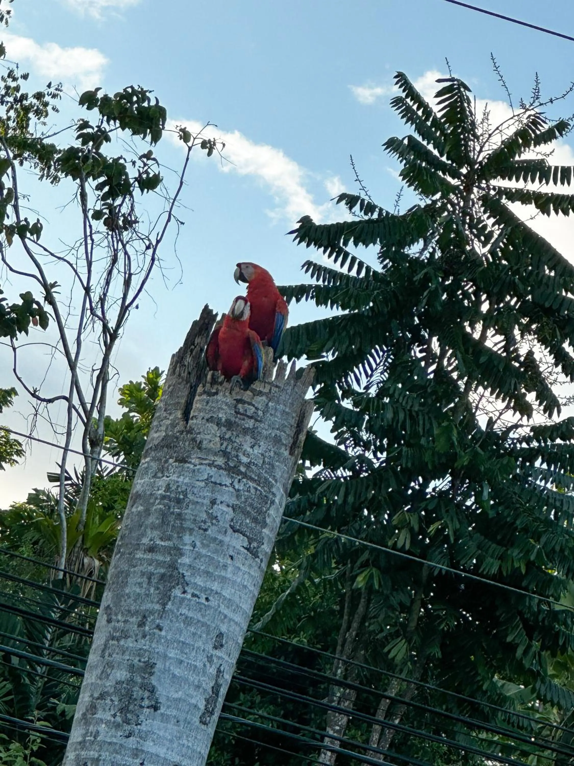 Natural landscape in Hospedaje Colibri