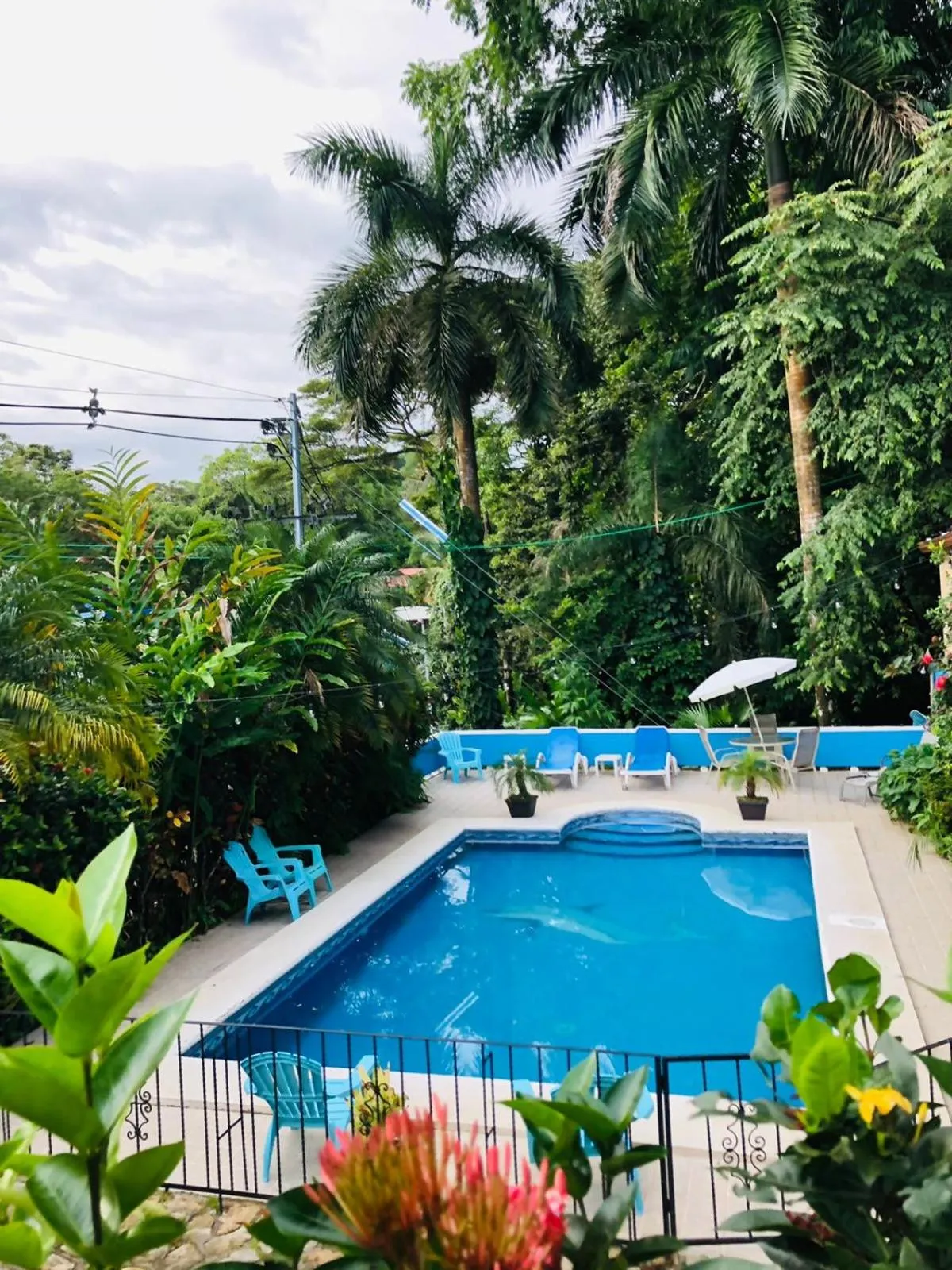 Day in Hospedaje Colibri