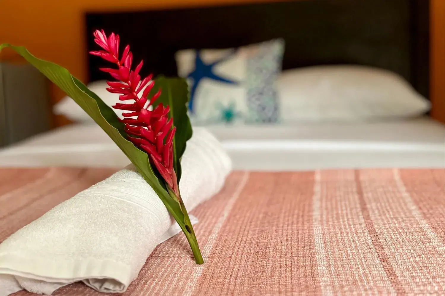 Deluxe Double Room in Hospedaje Colibri Deluxe Double Room in Hospedaje Colibri