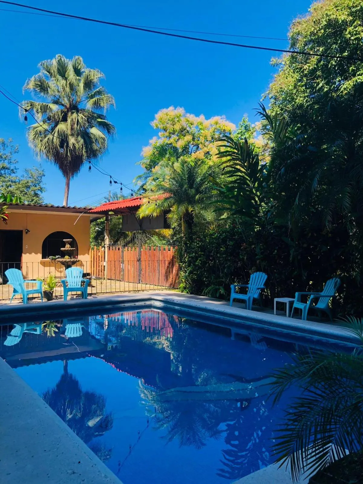 Garden in Hospedaje Colibri