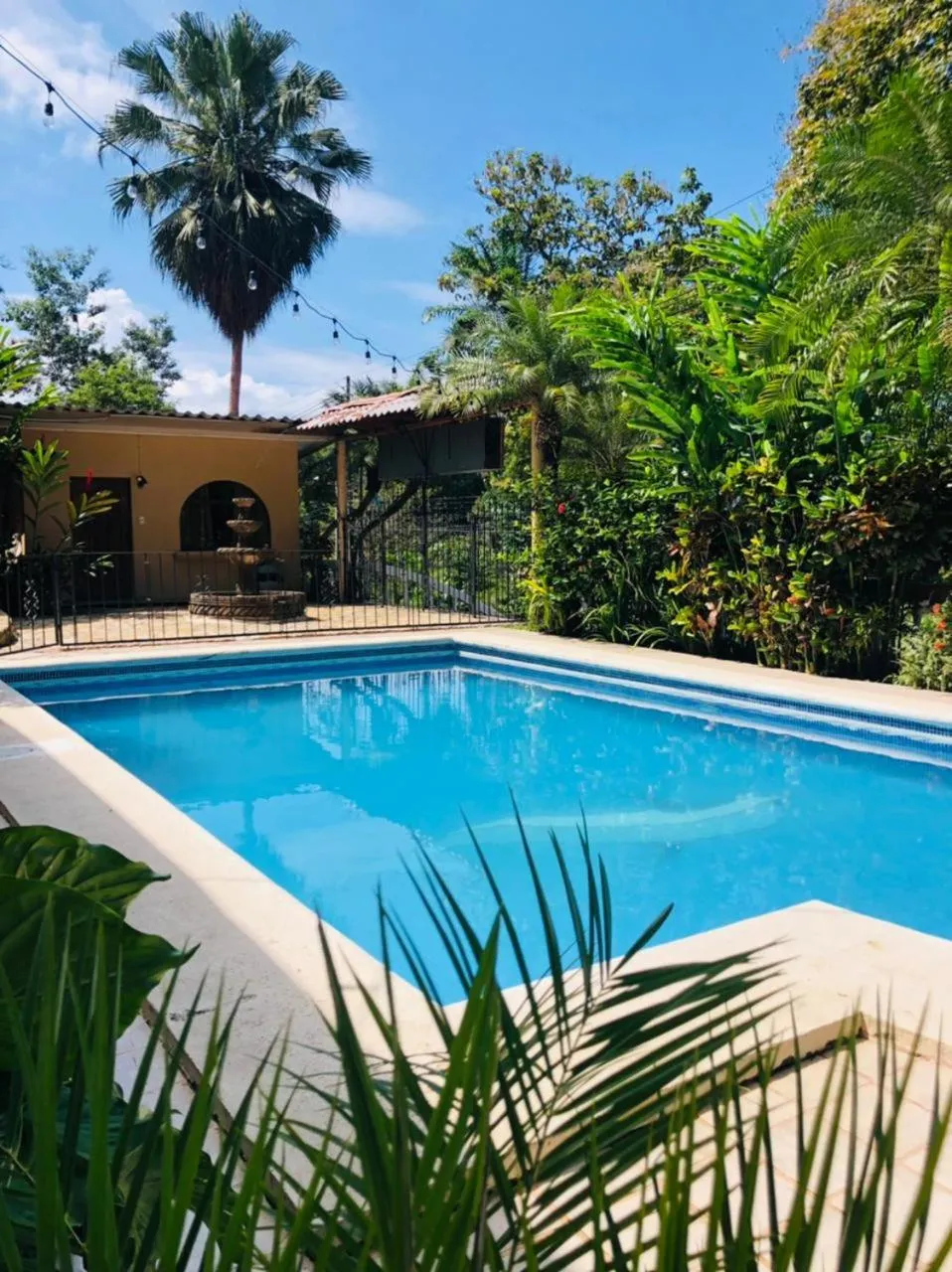 Pool view in Hospedaje Colibri