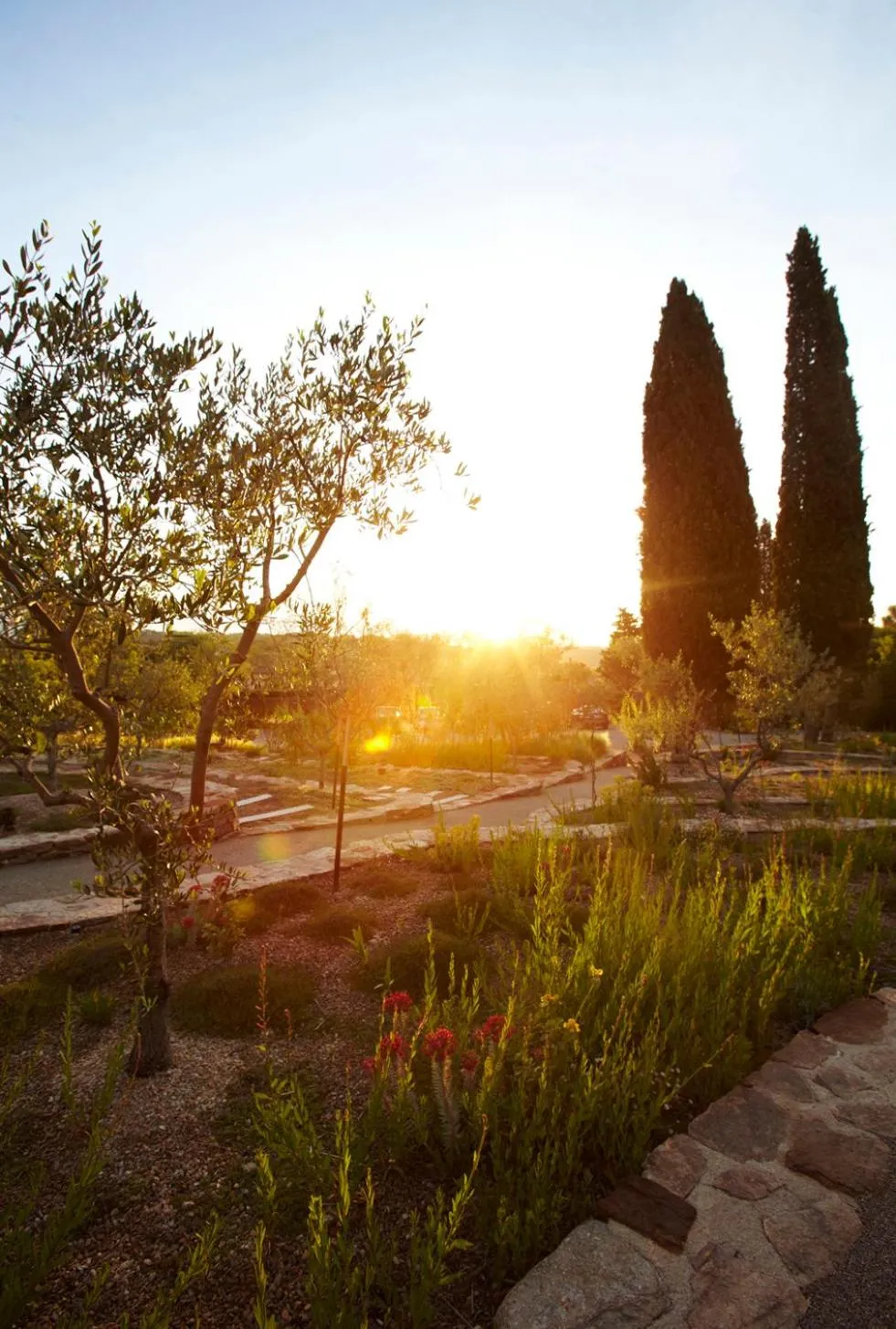 Natural landscape in MUSE Saint Tropez - Small Luxury Hotels of the World