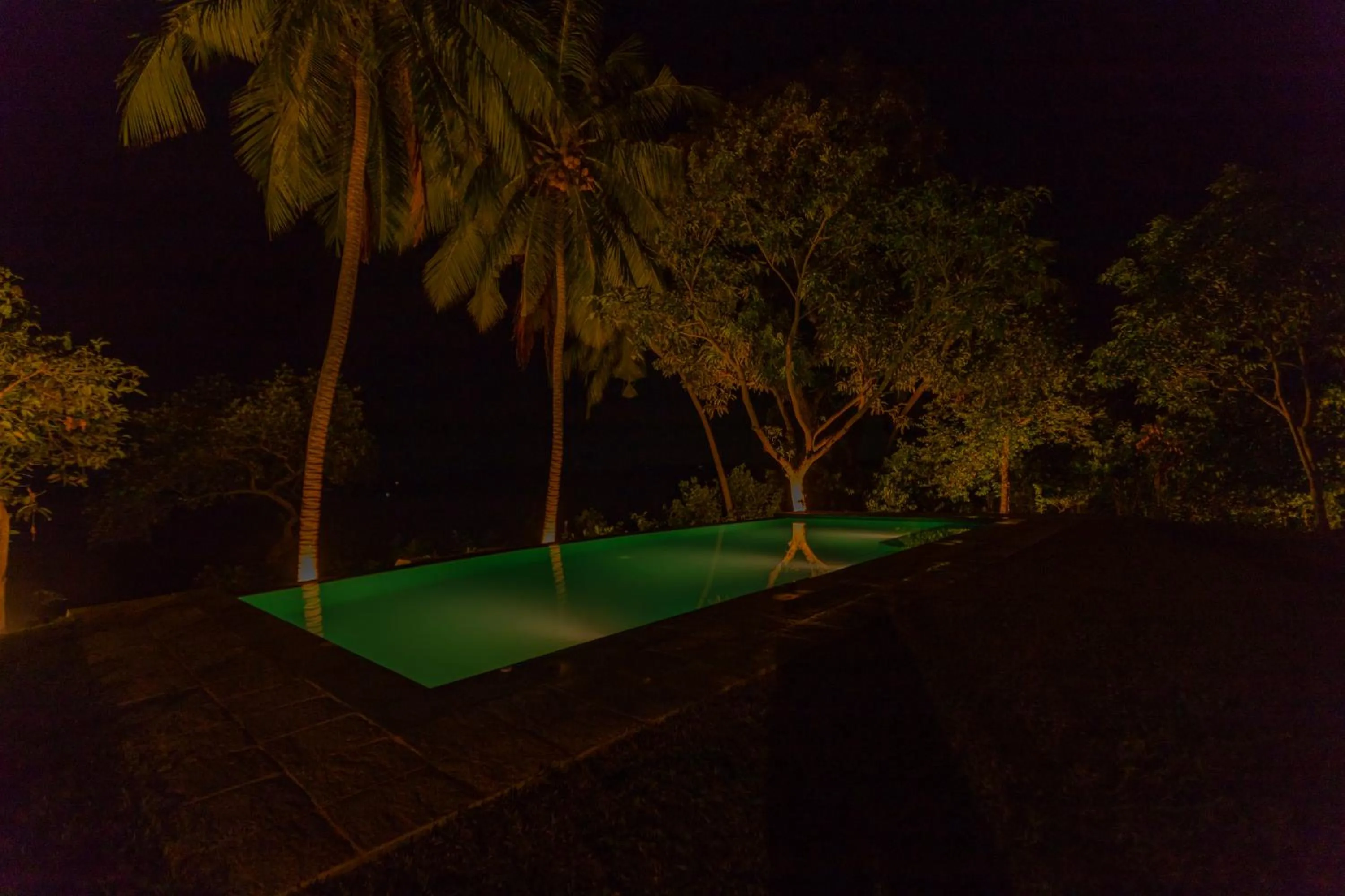 Night in Serendipity Lake - Hikkaduwa