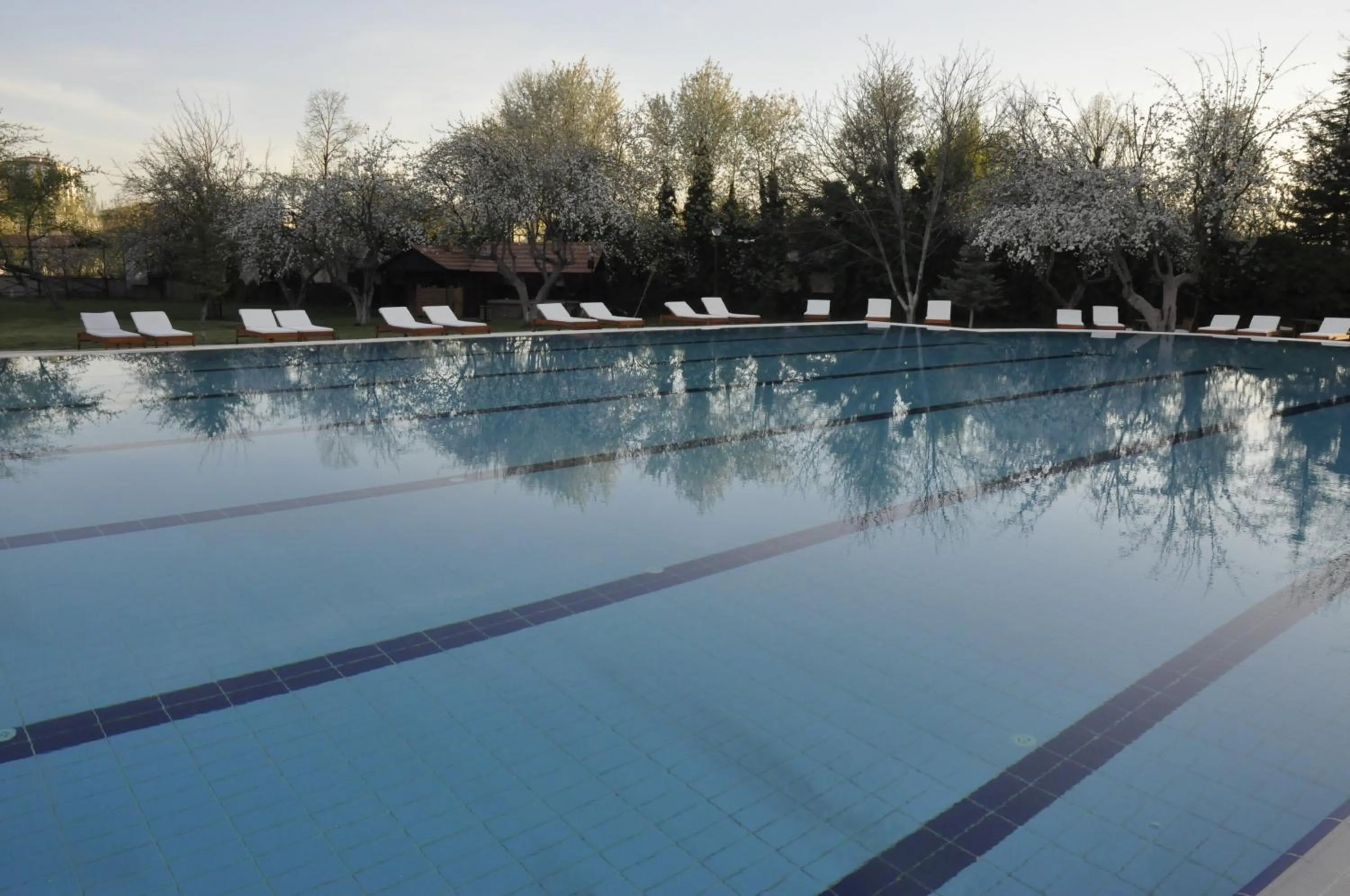 Pool view in CONNECT THERMAL HOTEL