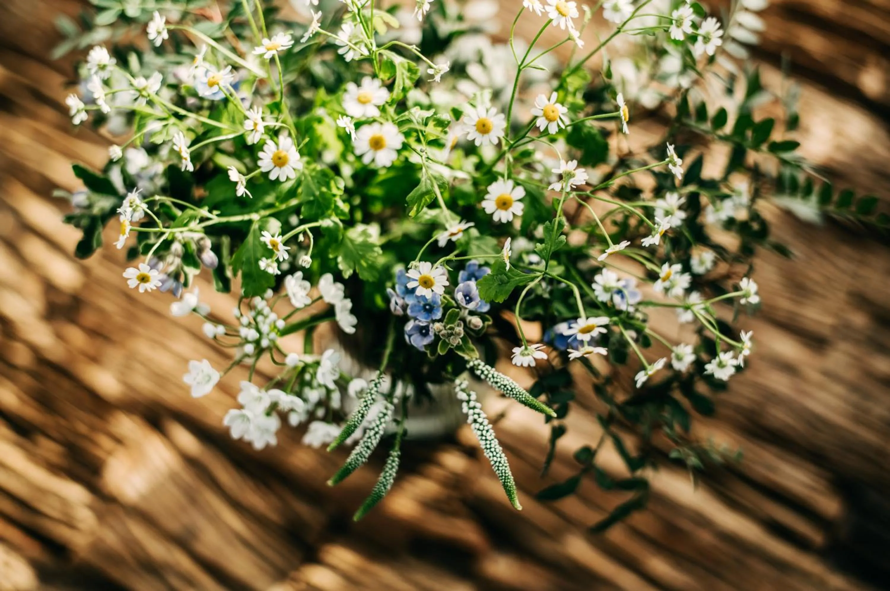 Garden view in Seaside 43