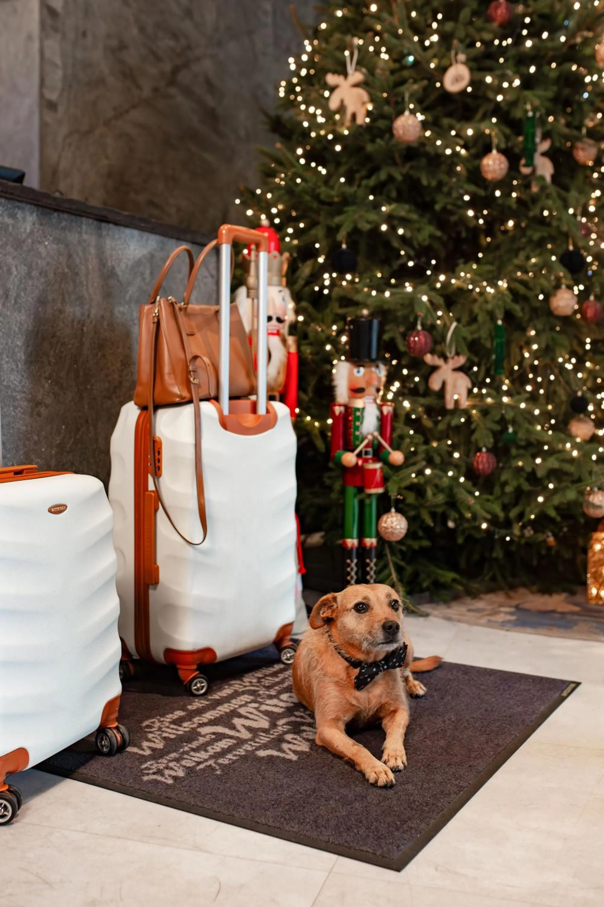 Lobby or reception in Hotel Bergo Resort & SPA