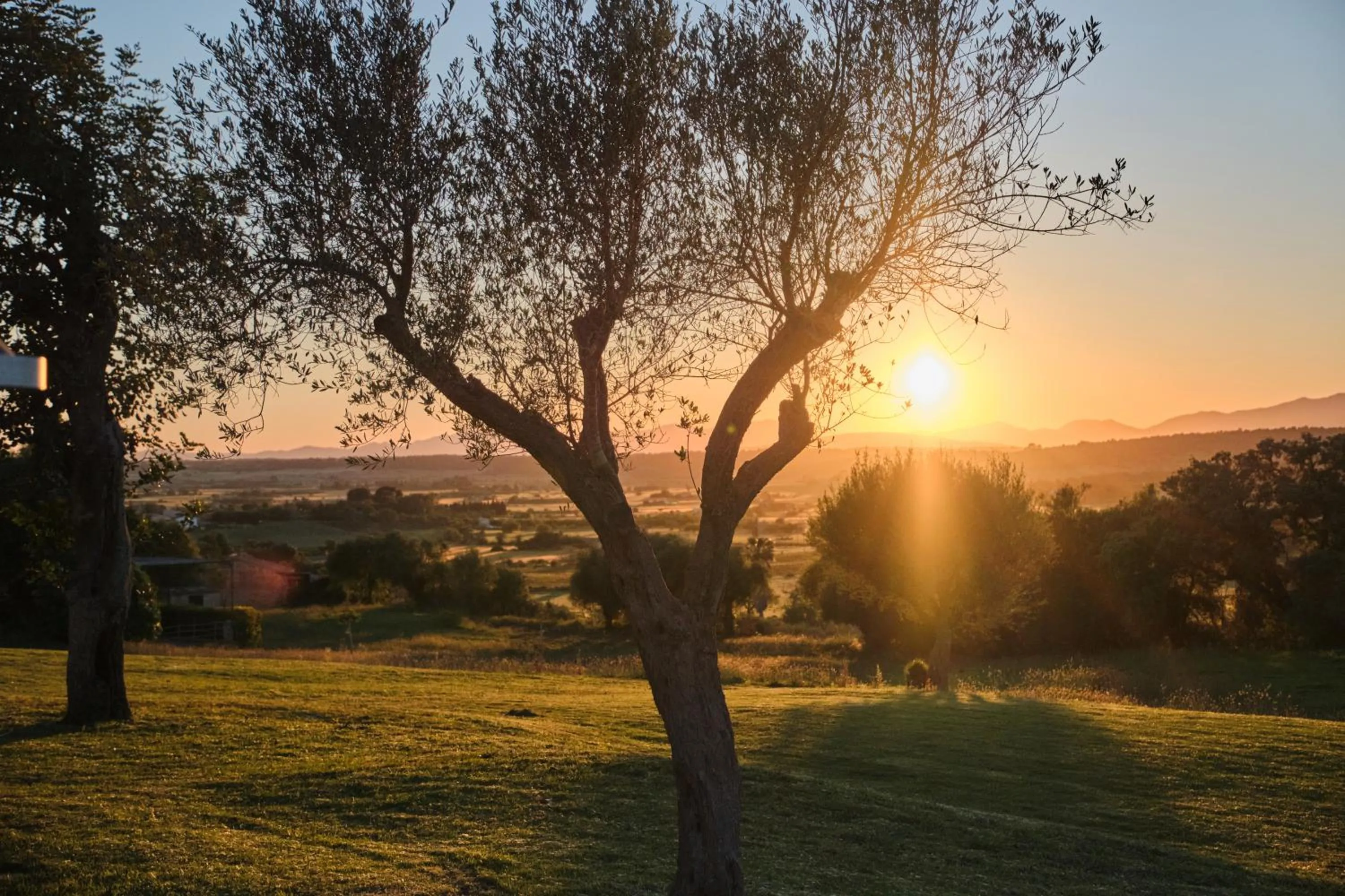 Garden view in Es Figueral Nou Hotel Rural & Spa - Adults Only - Over 12
