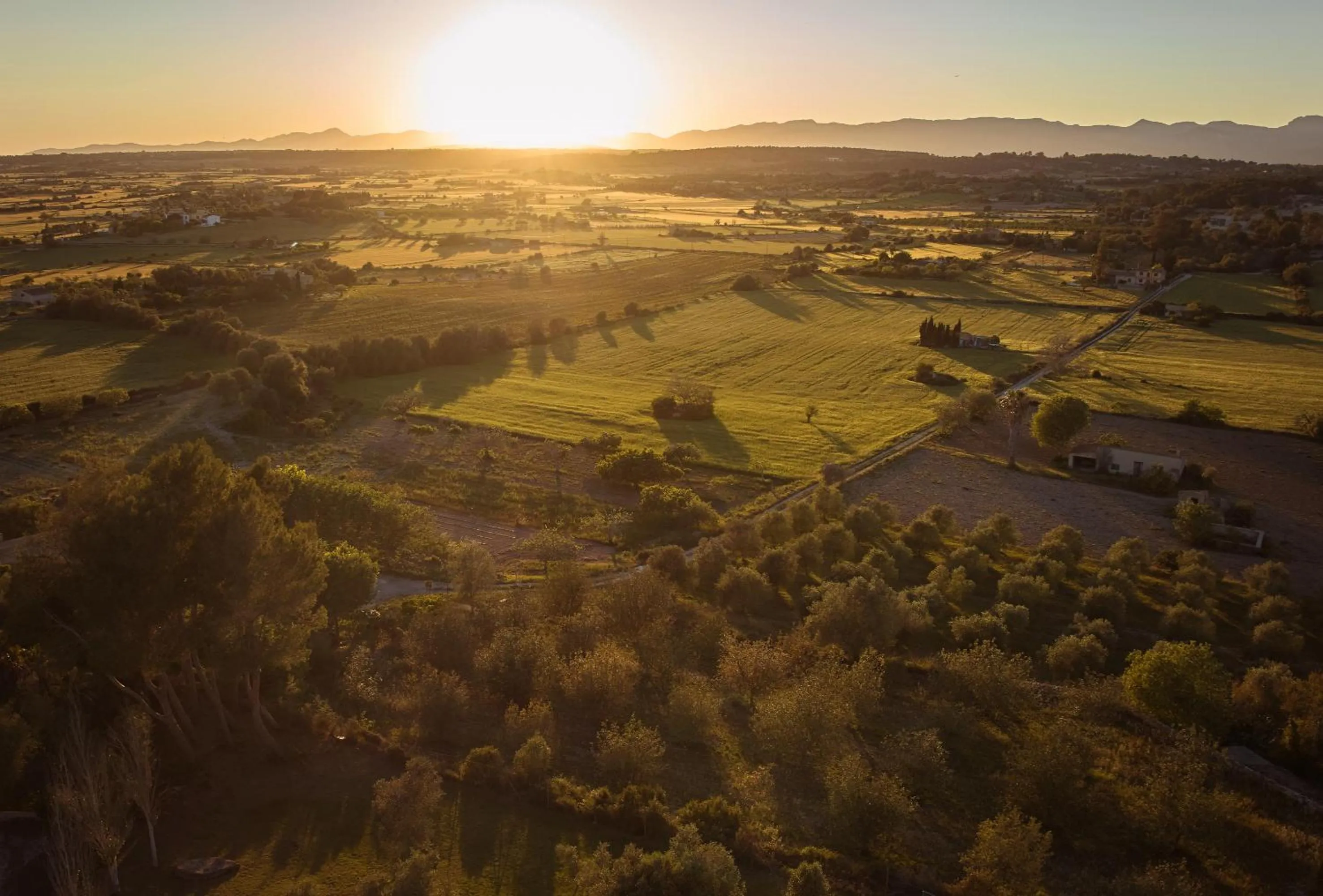 Bird's eye view in Es Figueral Nou Hotel Rural & Spa - Adults Only - Over 12