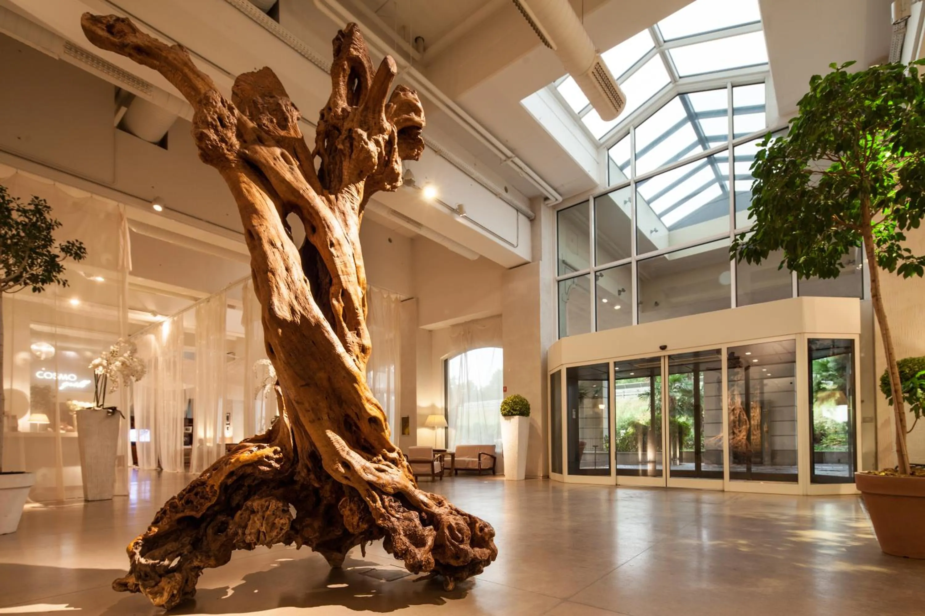 Lobby or reception in Cosmo Hotel Palace