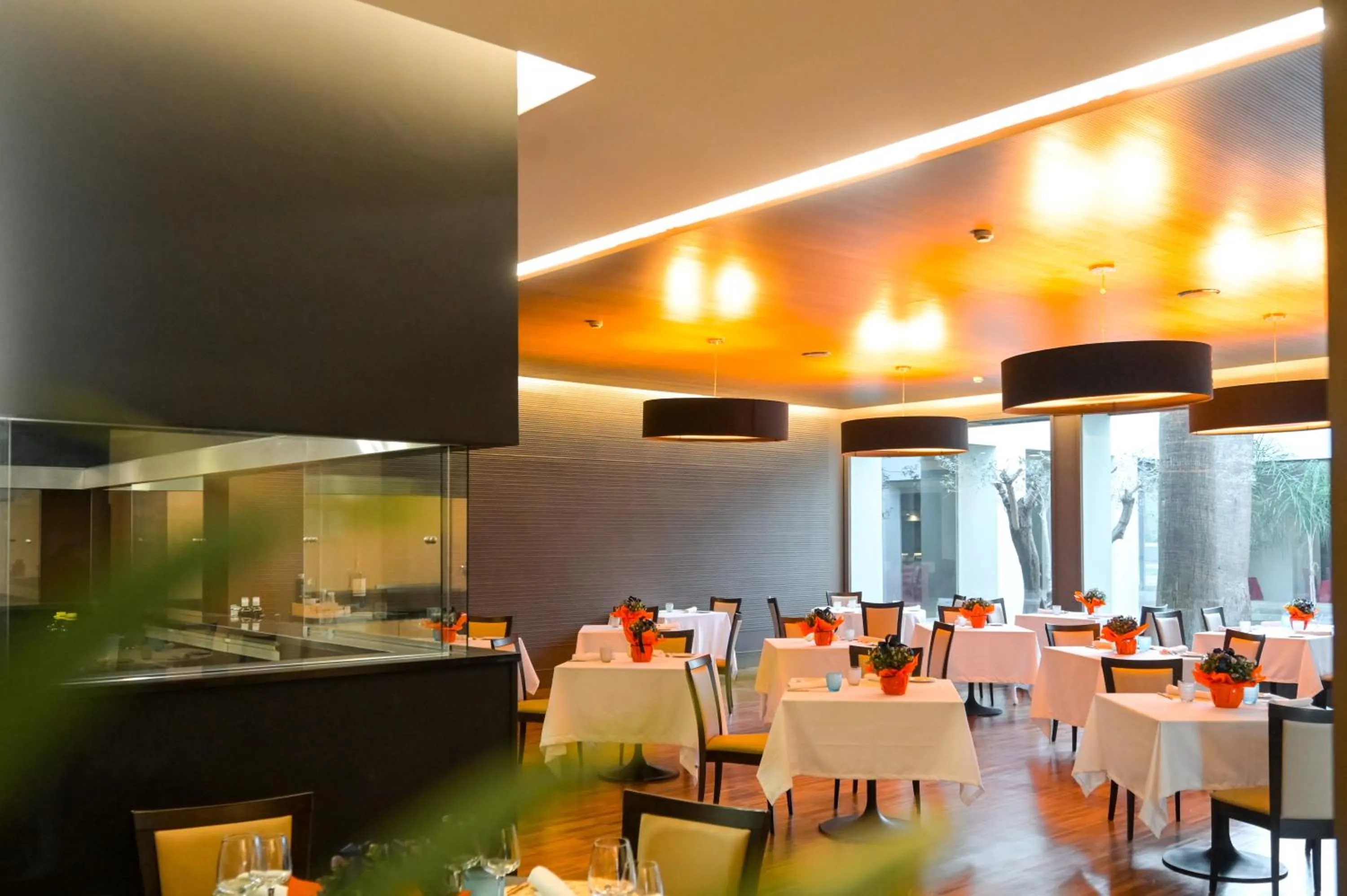 Restaurant/places to eat in Hotel Selene Pomezia