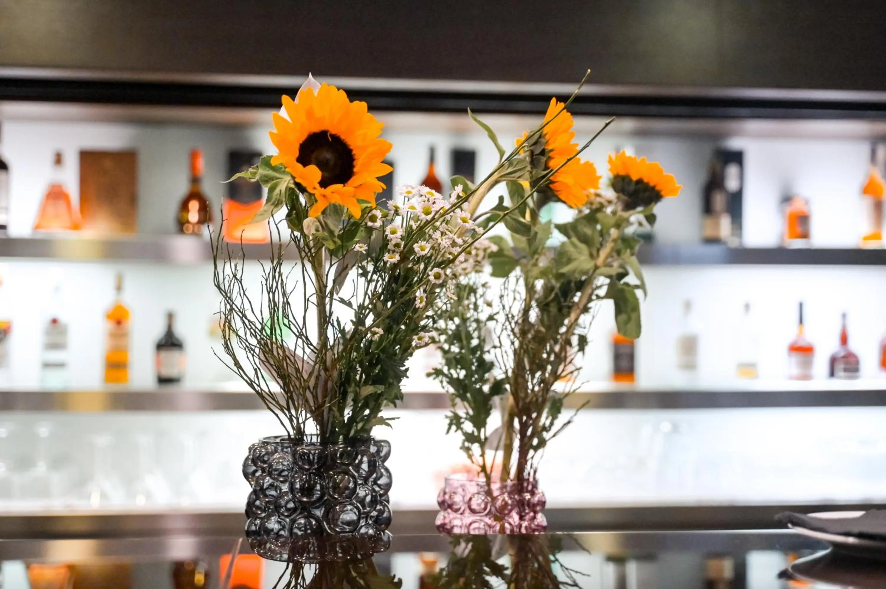 Property building in Hotel Selene Pomezia