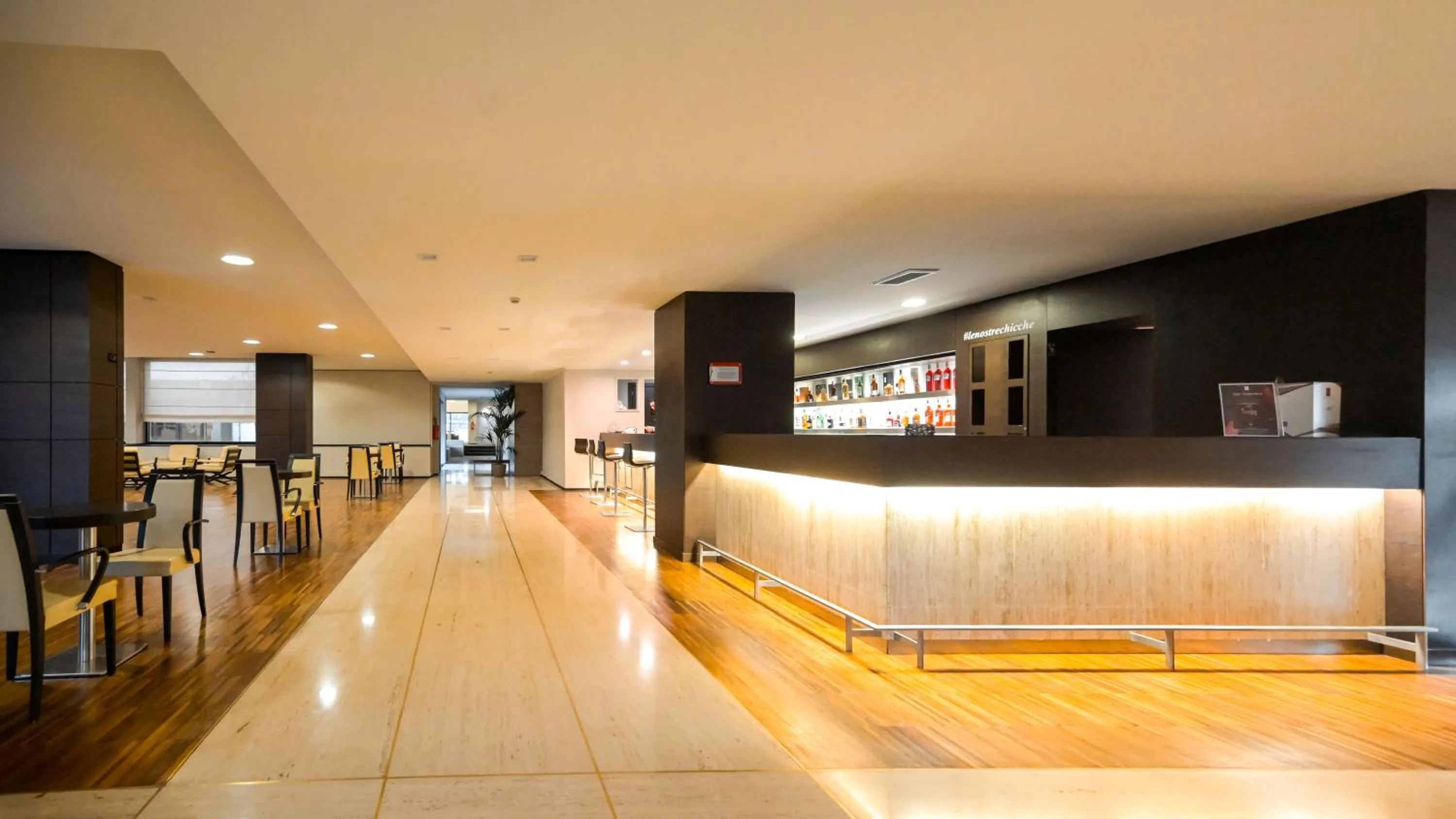 Lobby or reception in Hotel Selene Pomezia