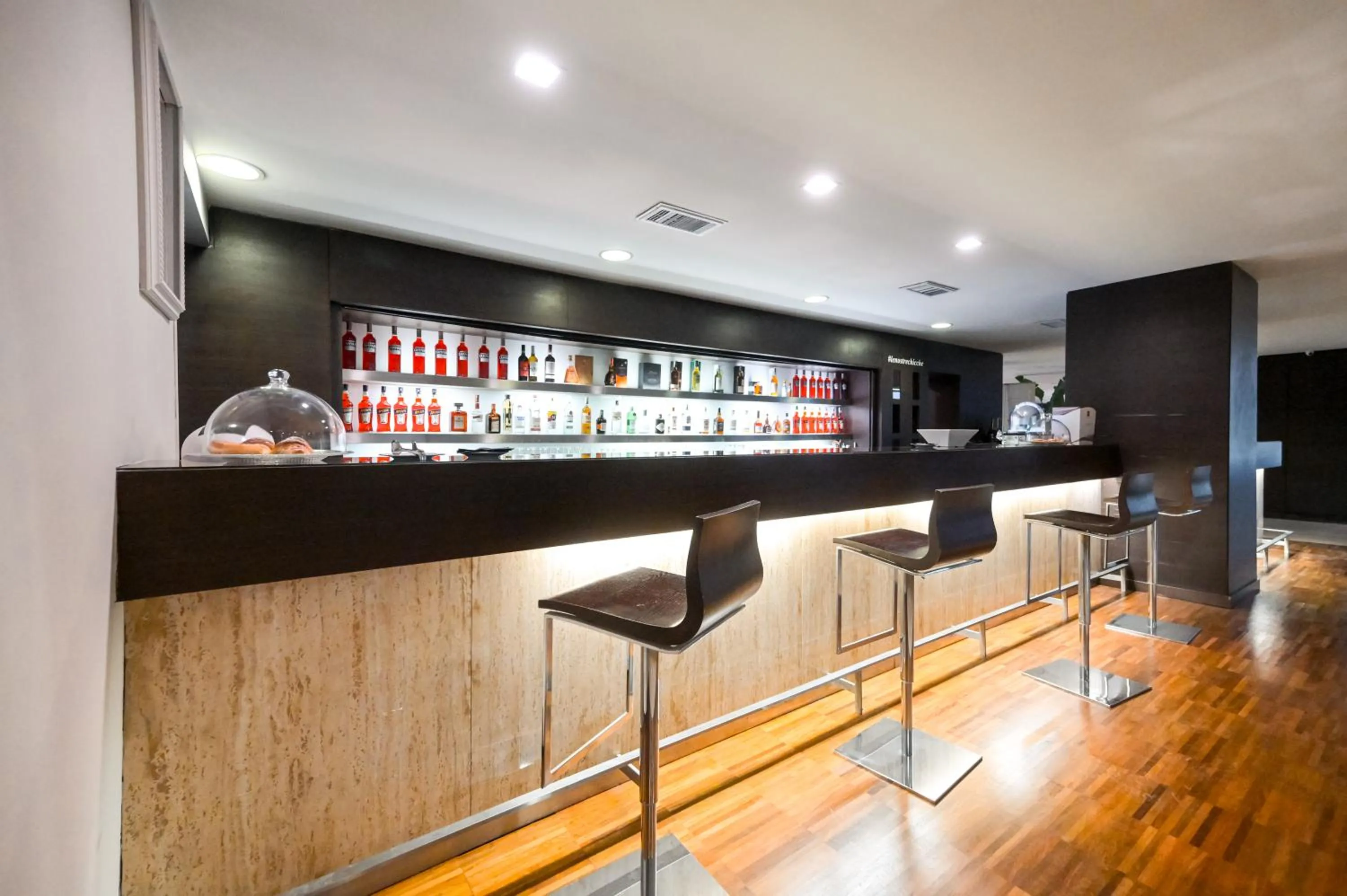 Lounge or bar in Hotel Selene Pomezia