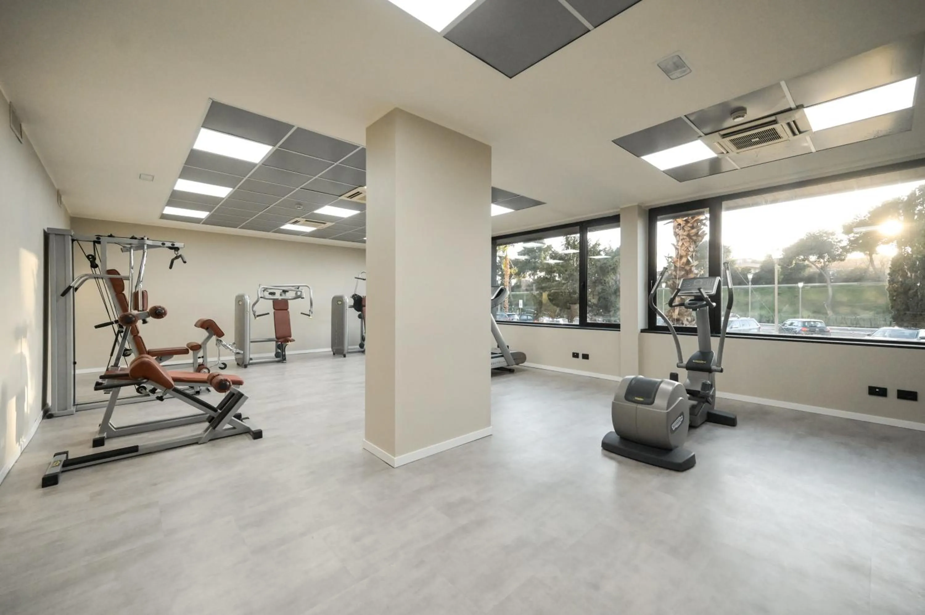 Fitness centre/facilities in Hotel Selene Pomezia