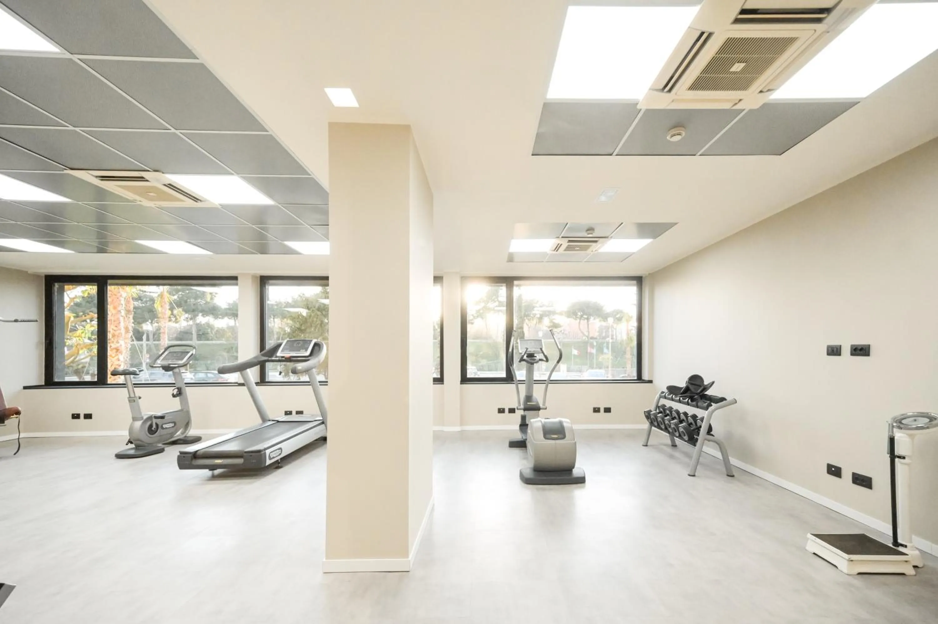 Fitness centre/facilities in Hotel Selene Pomezia