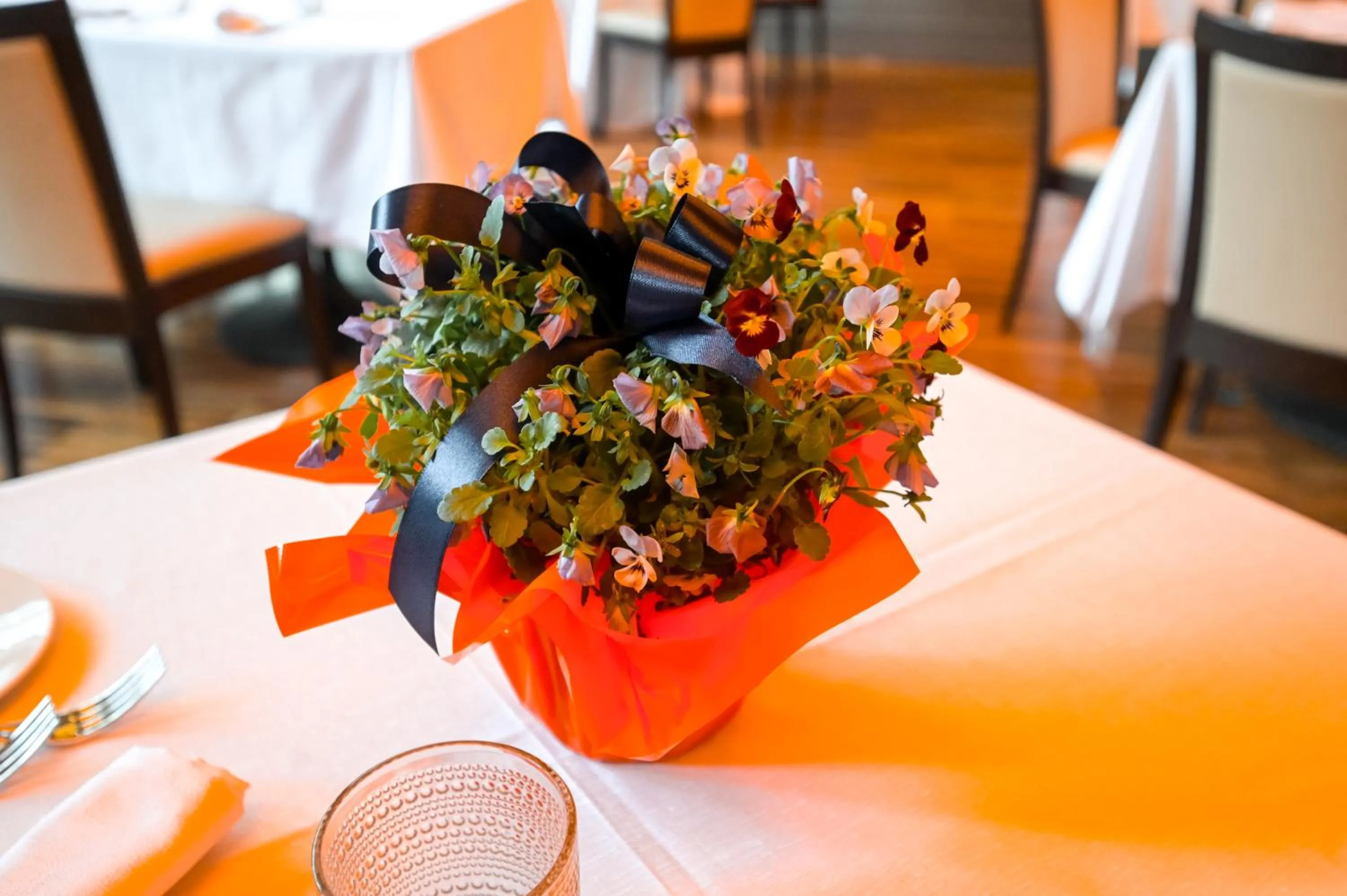 Property building in Hotel Selene Pomezia