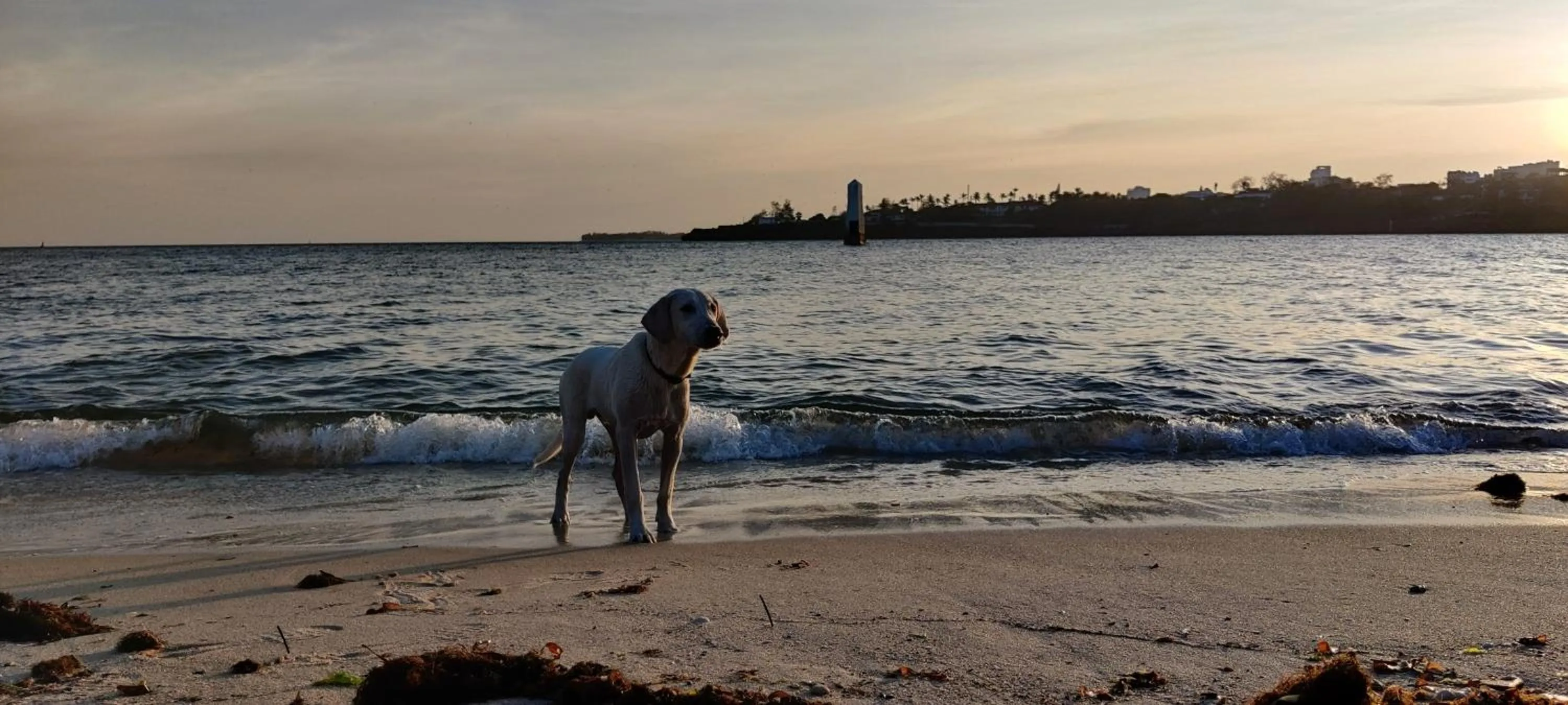 Beach in English Point Residence Beach Apartments Mombasa