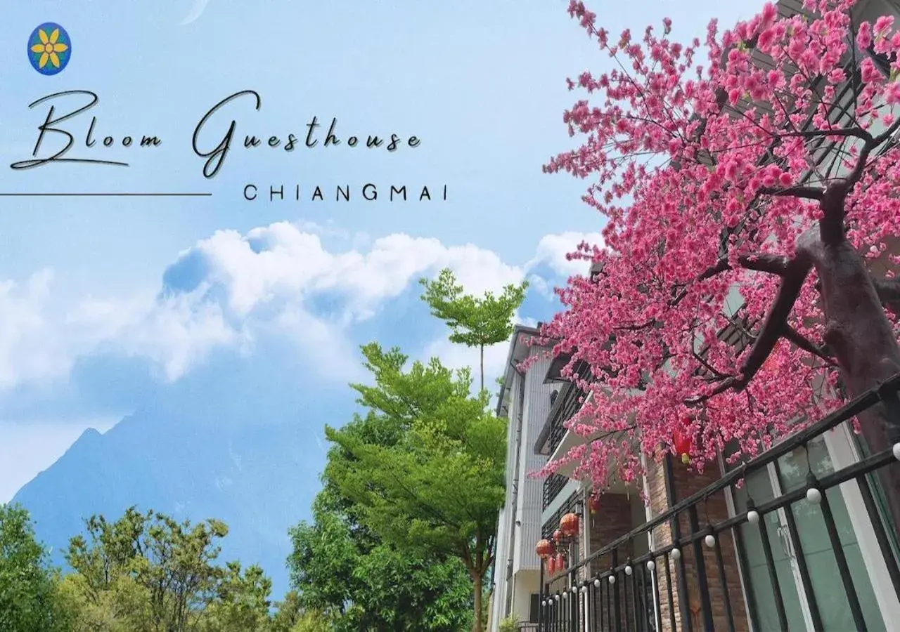 Bloom Guesthouse Bloom Guesthouse