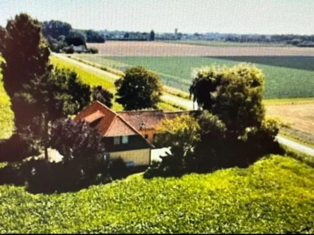 View (from property/room) in B&B de Danser