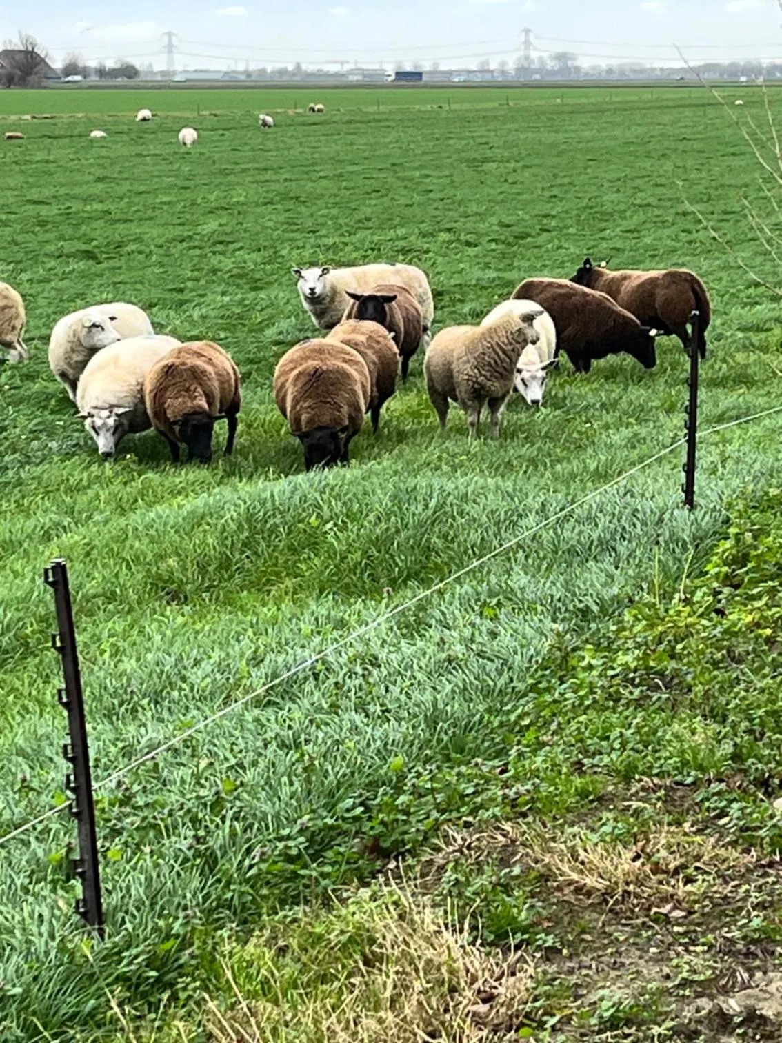 Property building in B&B de Danser