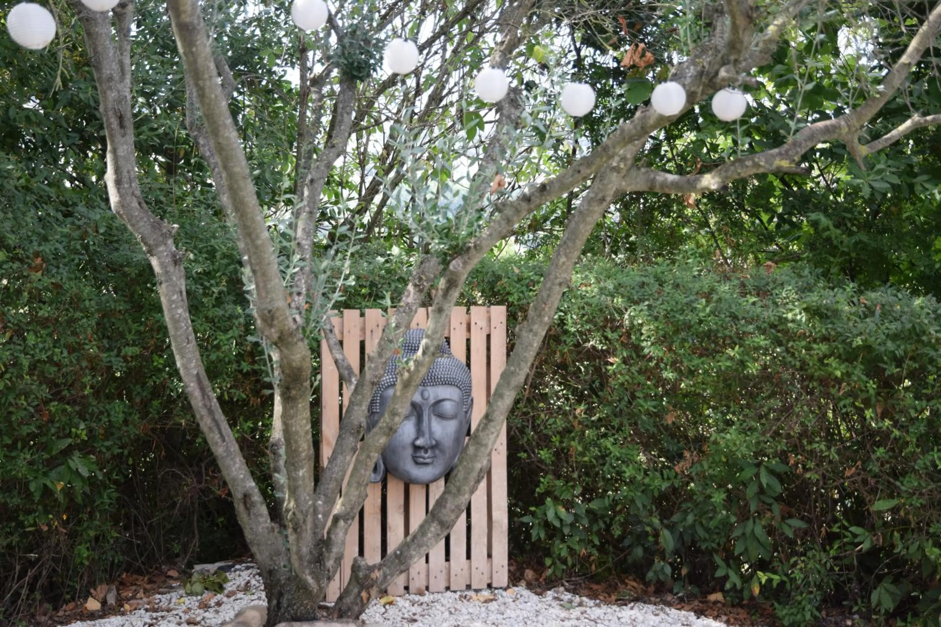 Garden in Casale di Maro