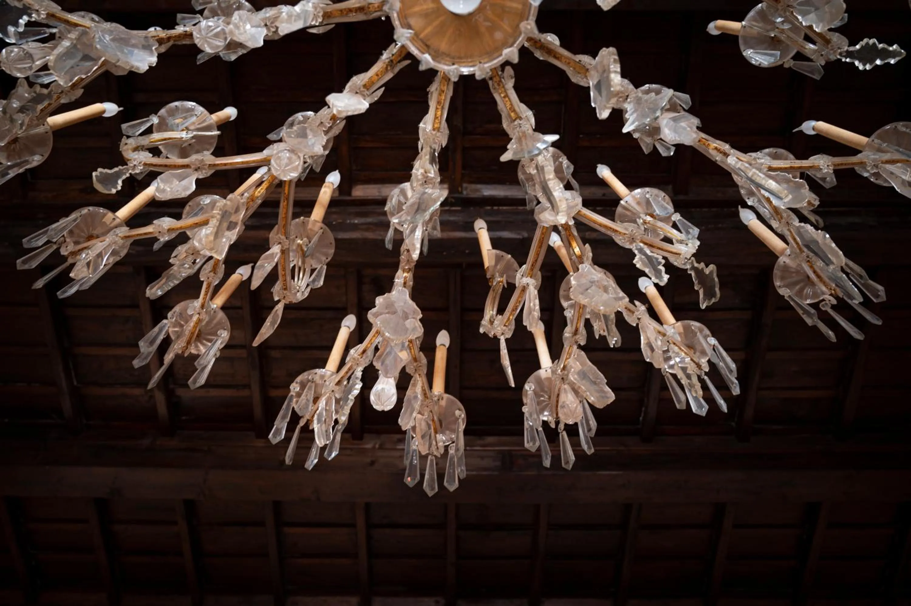 Bed and Breakfast Donna Olimpia