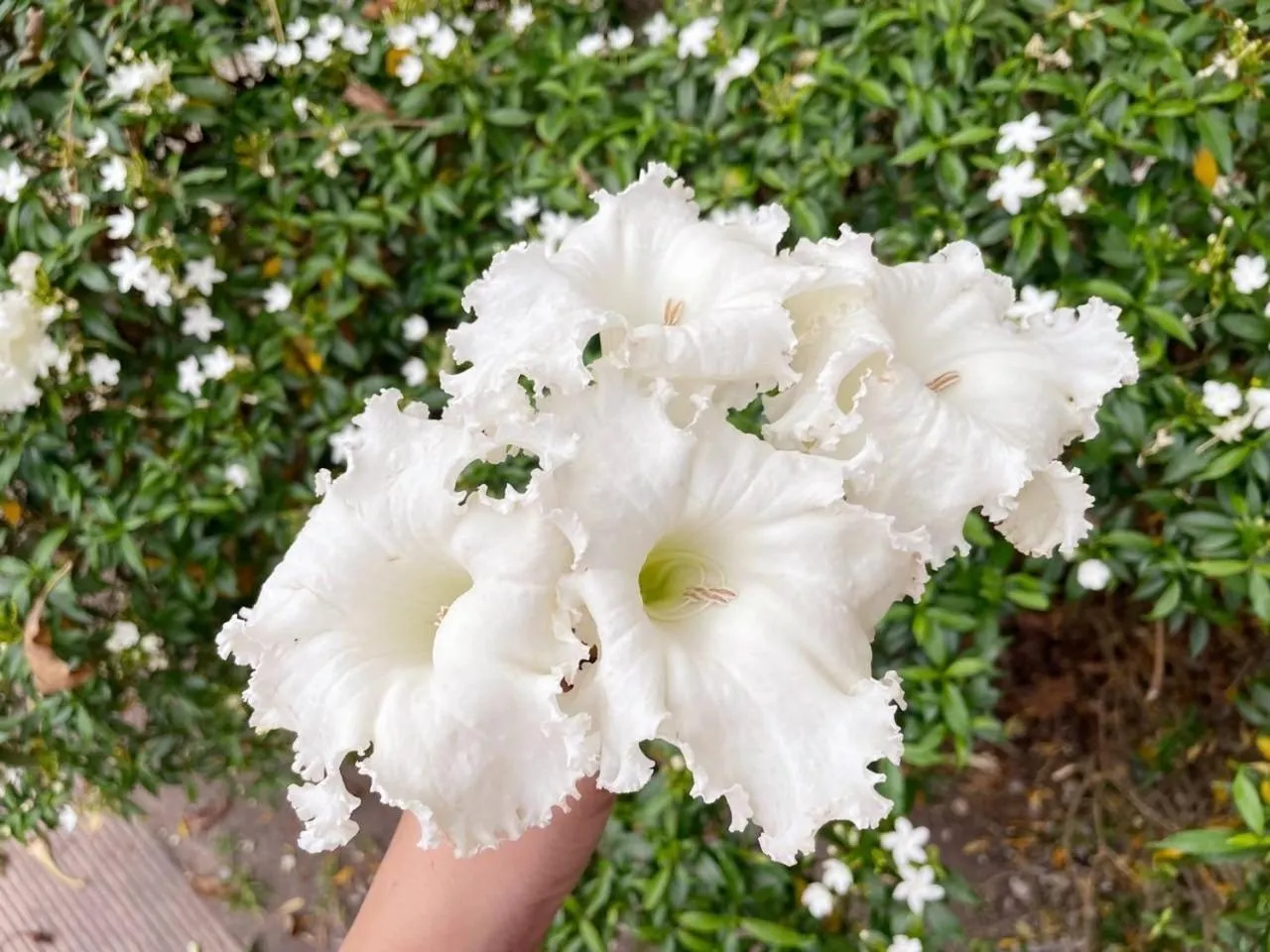 BANGKOK.GRAND.RESORT