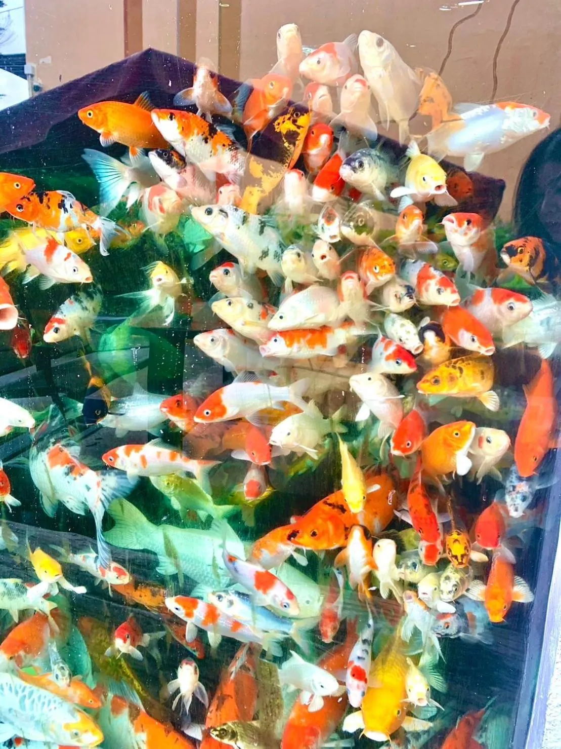 BANGKOK.GRAND.RESORT