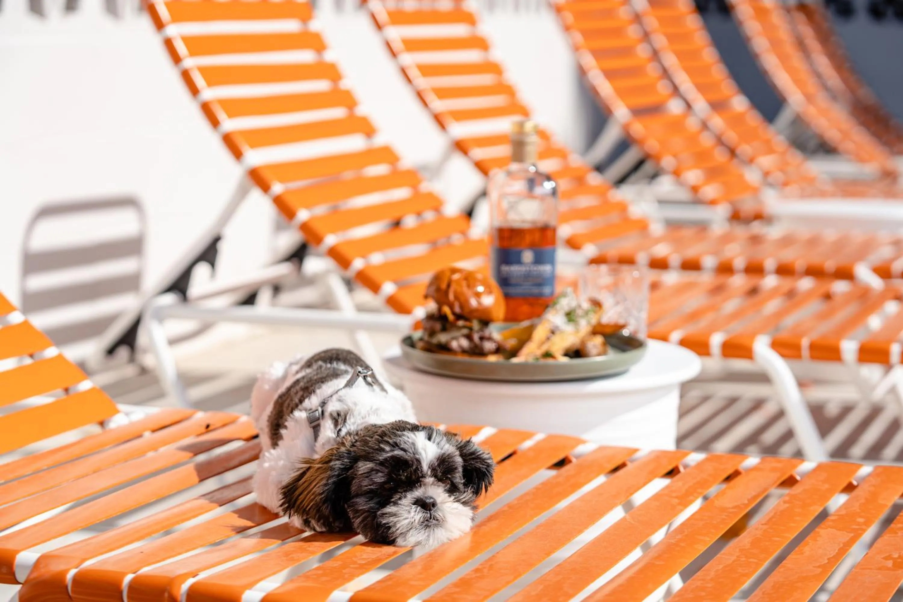 Swimming pool in Bardstown Motor Lodge
