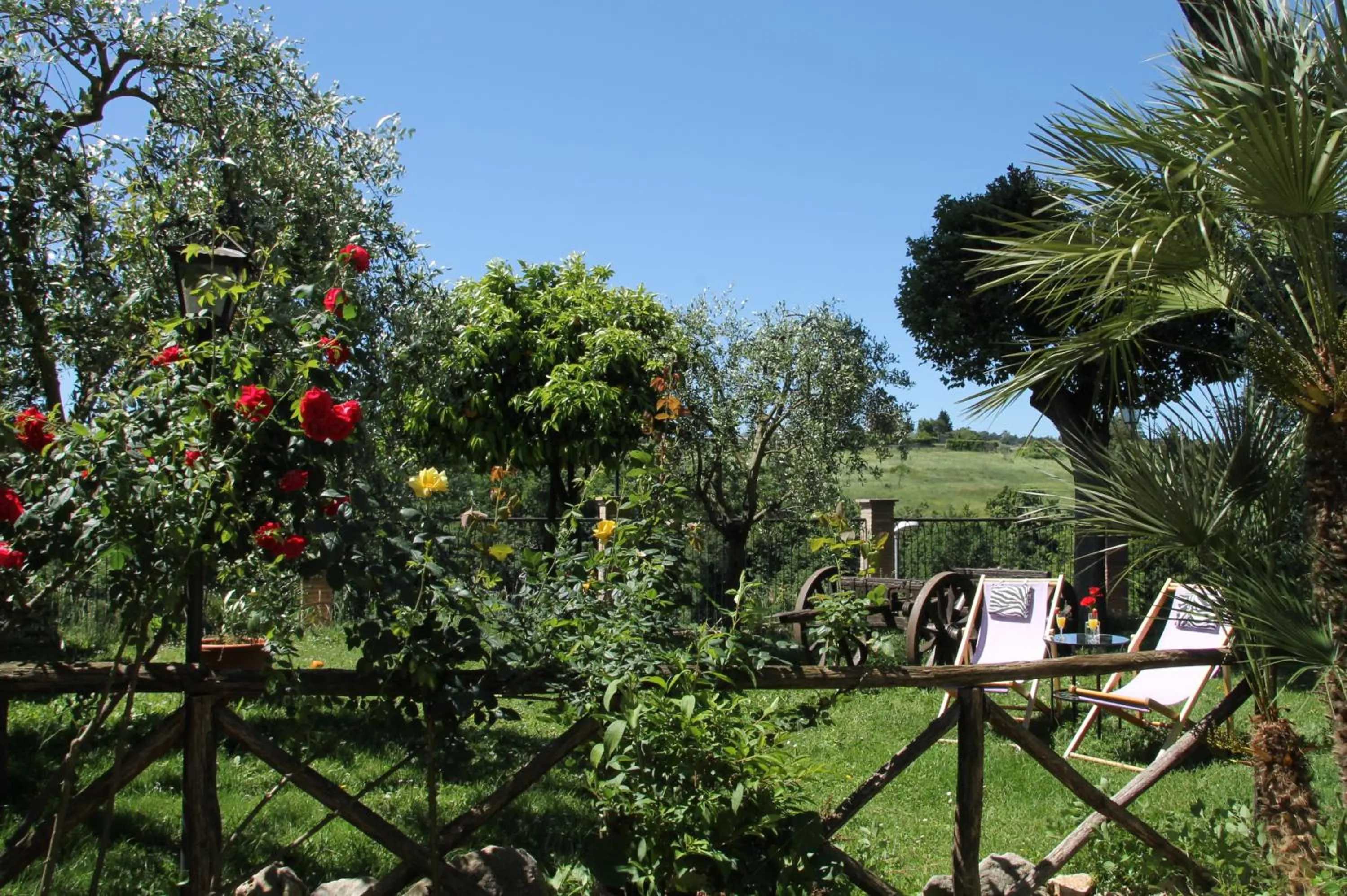 Garden in Hotel Tempio di Apollo