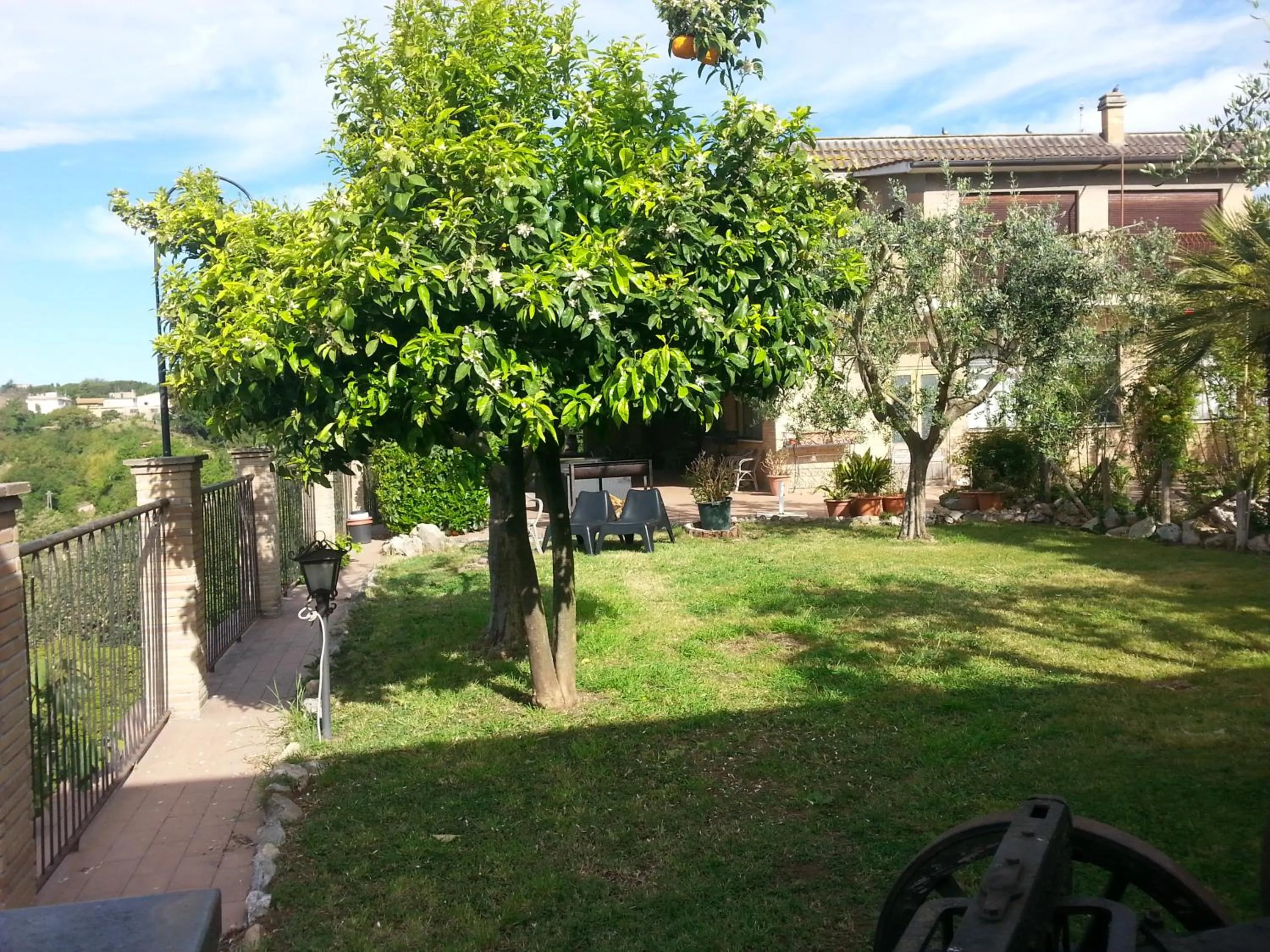 Garden in Hotel Tempio di Apollo