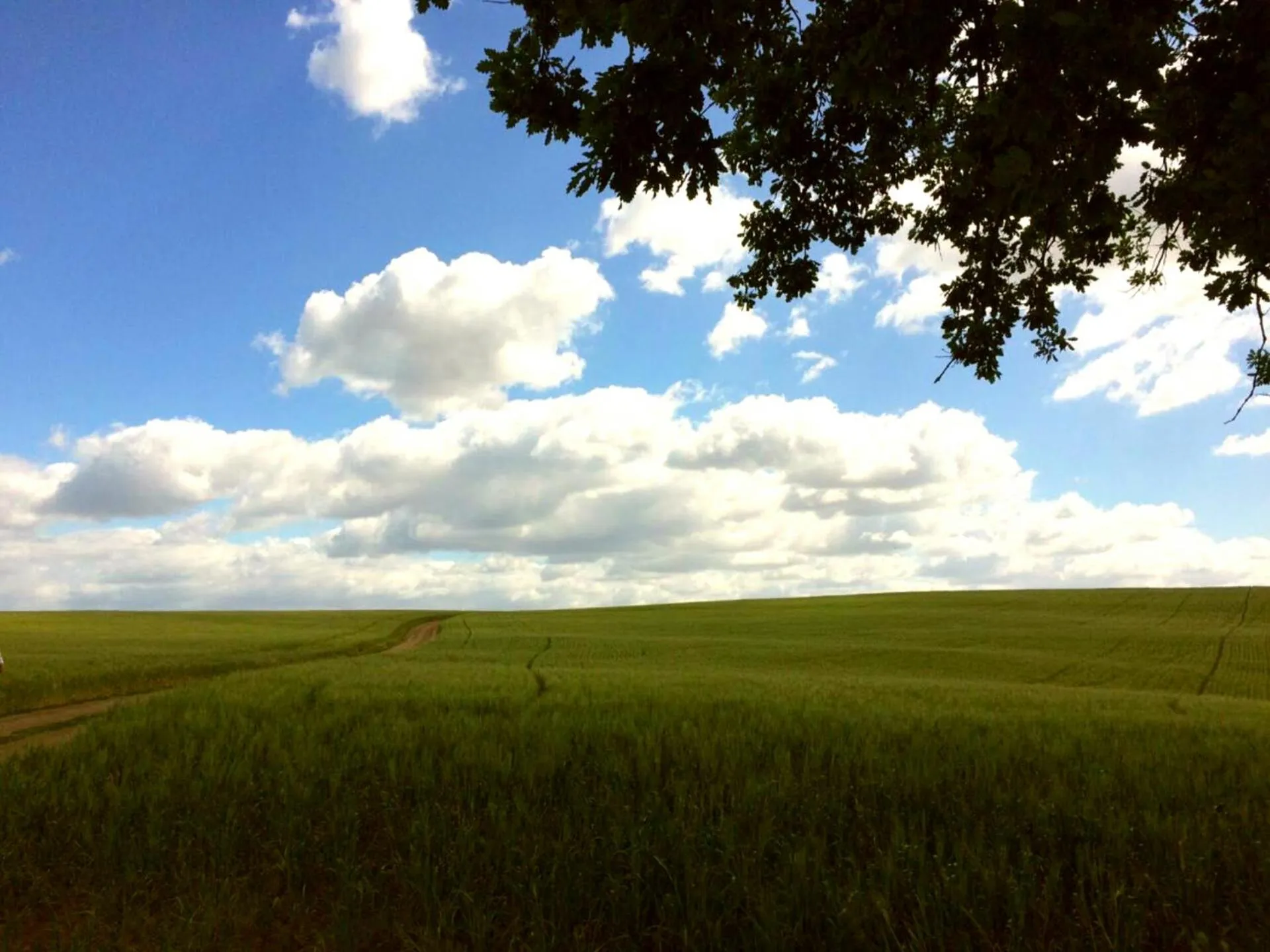 Natural landscape in Hotel Tempio di Apollo
