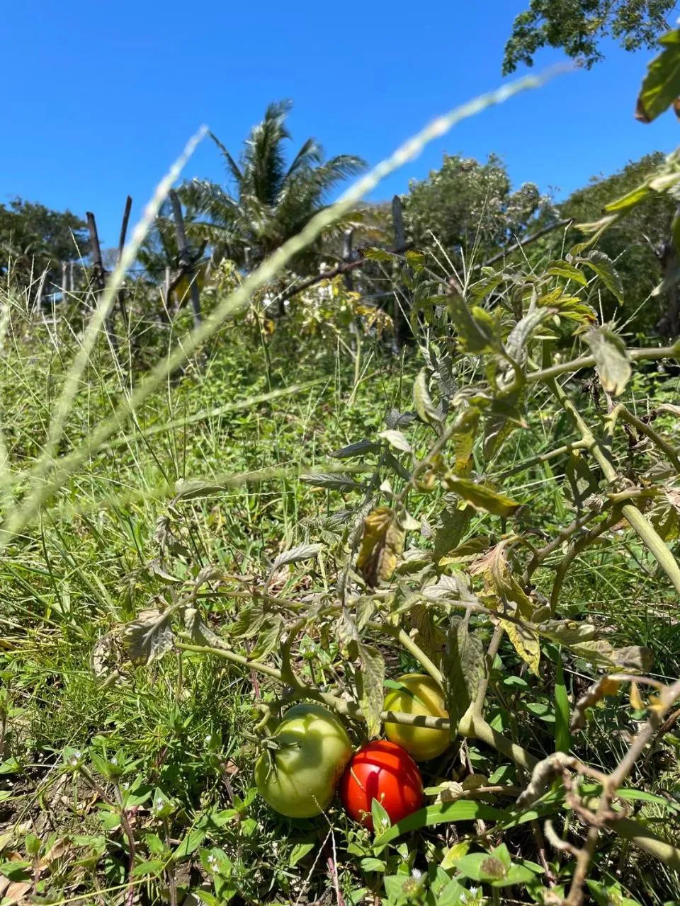 Property building in Hotel and Dive Center Roatan Yacht Club